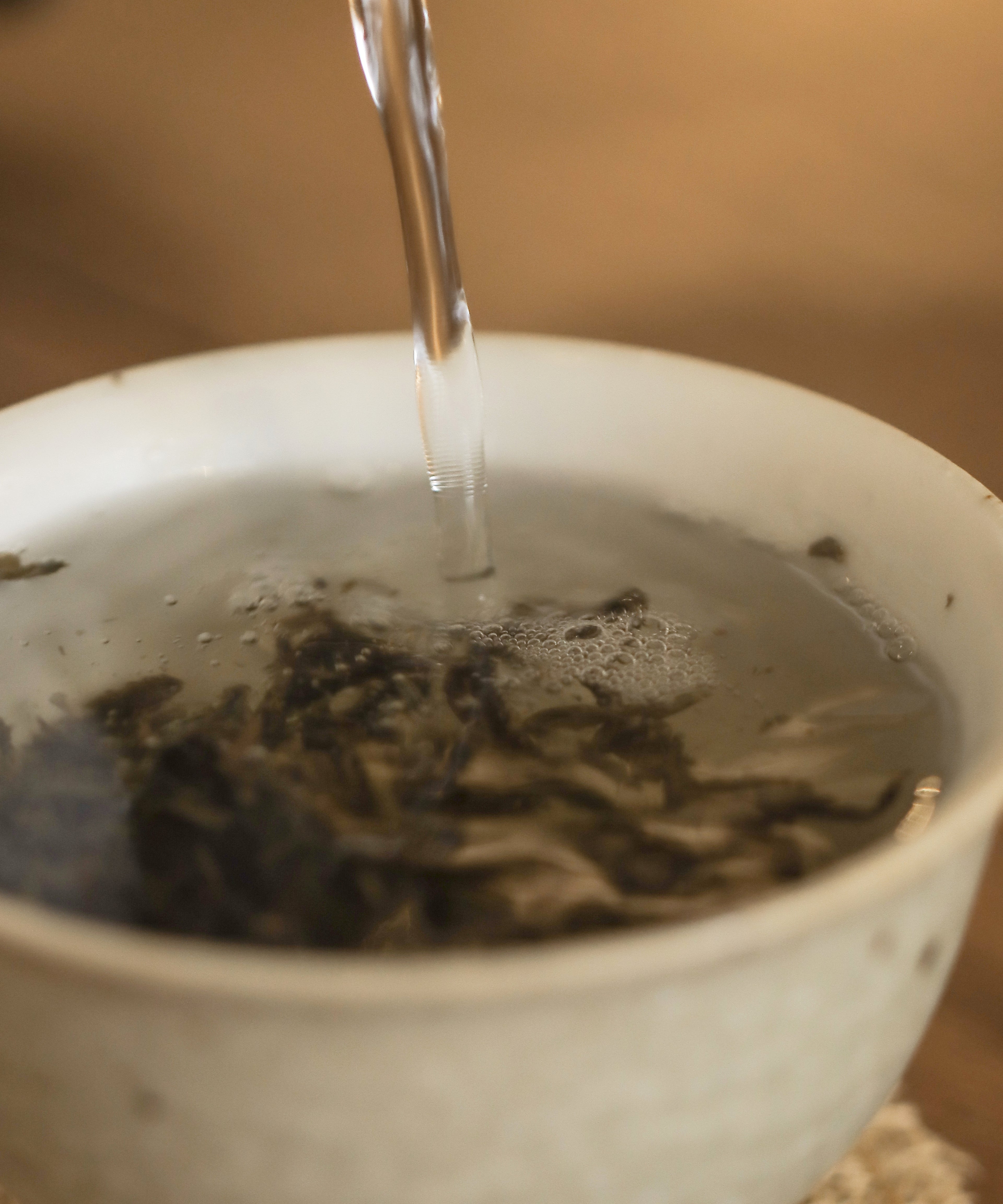 Brewing Kokang — experimental sheng pu'erh from Tibetan Plateau terroir, Kokang, Myanmar