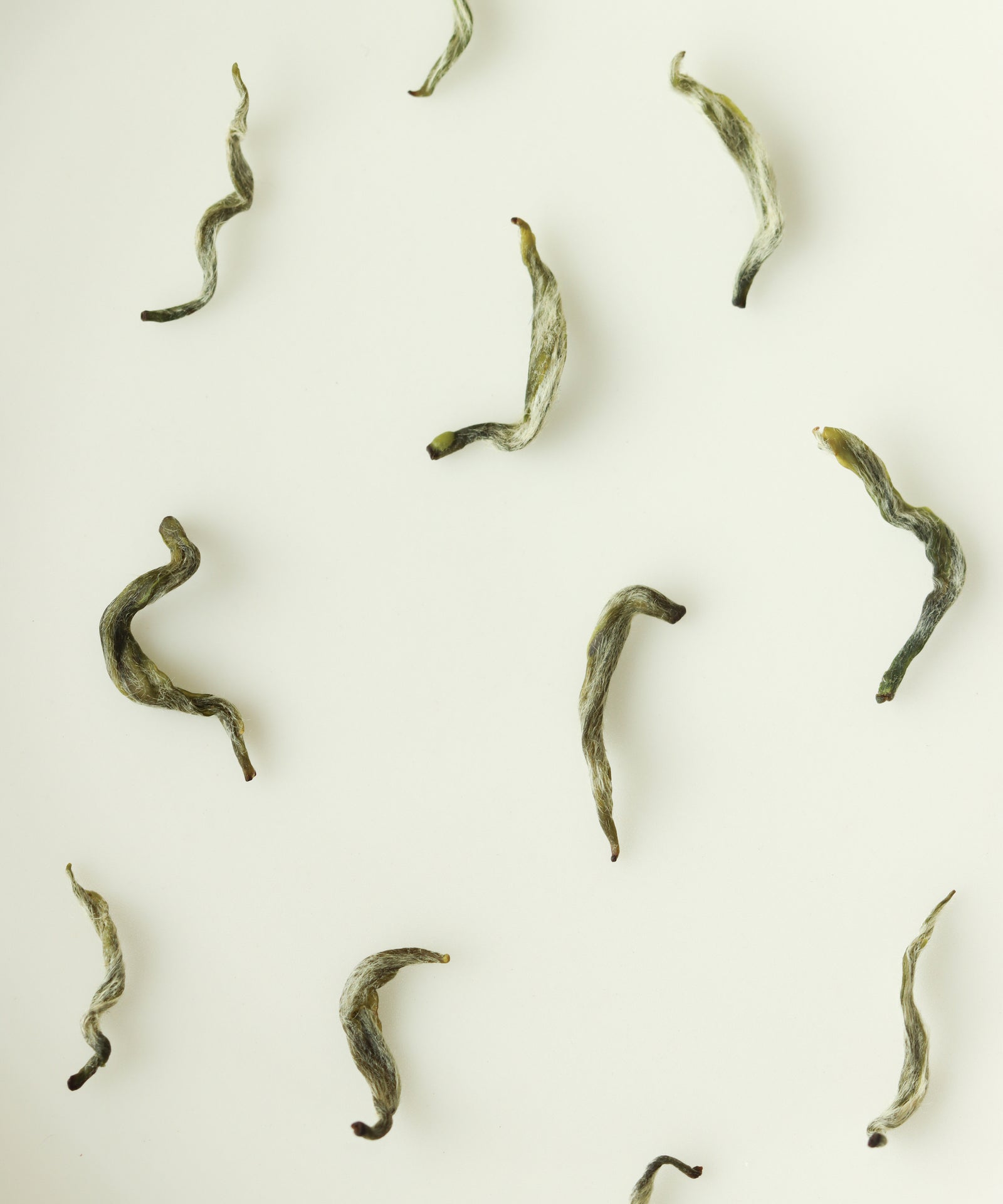 Mengding Sweet Dew First Harvest – Cultivate Tea