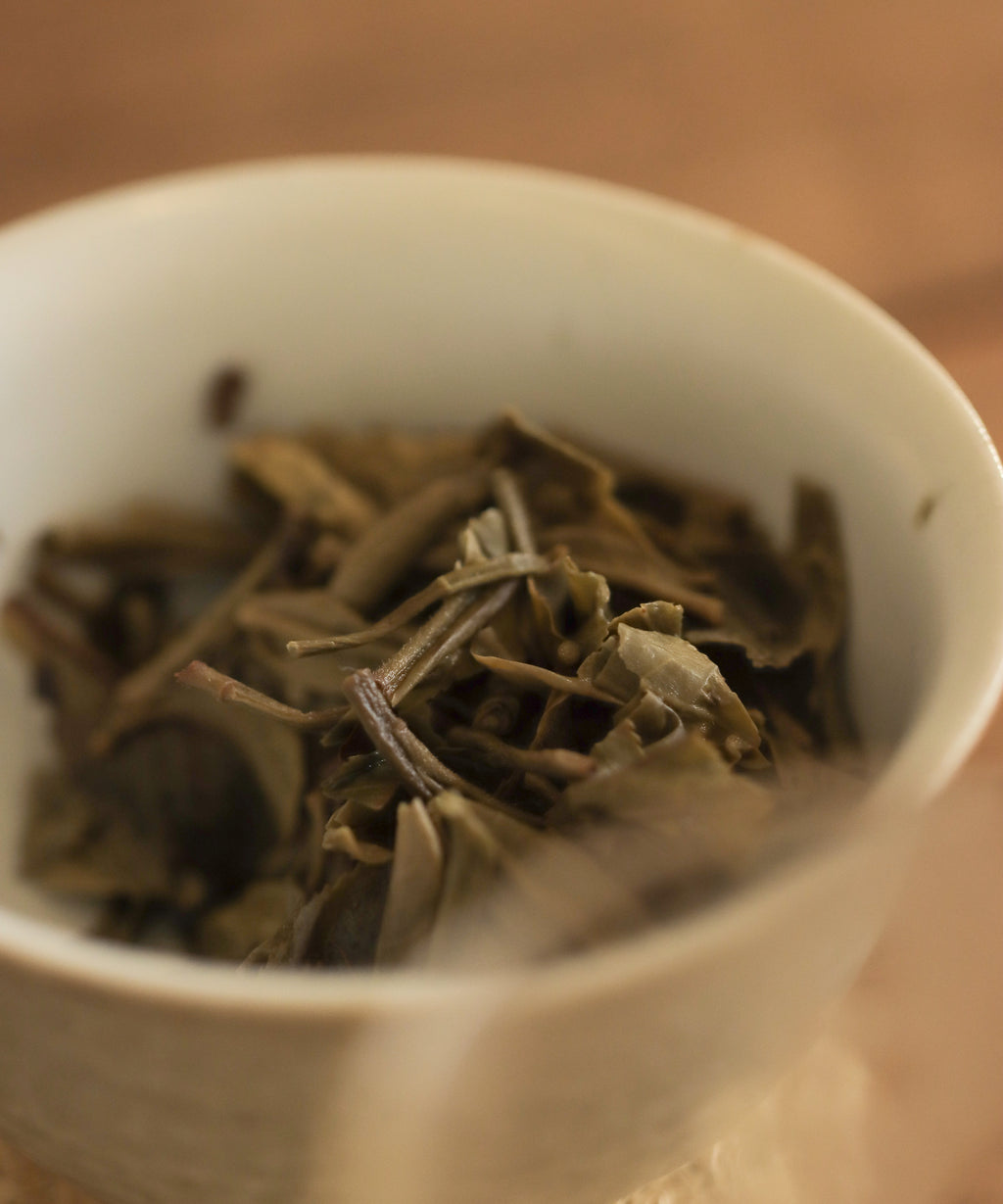 Kokang wet leaves after brewing — ancient tree sheng pu'erh, Li Jiakuan, Kokang, Myanmar