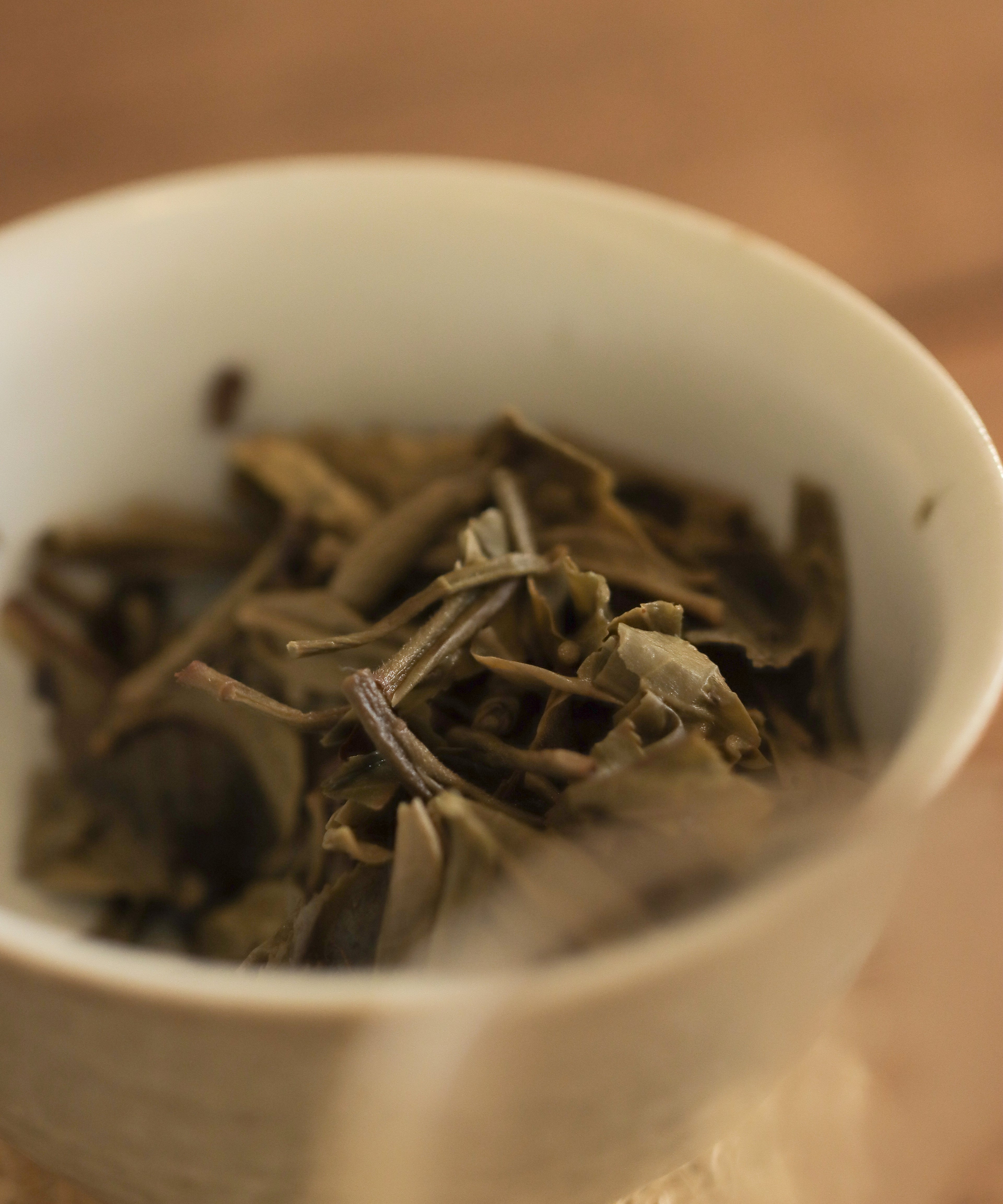 Kokang wet leaves after brewing — ancient tree sheng pu'erh, Li Jiakuan, Kokang, Myanmar
