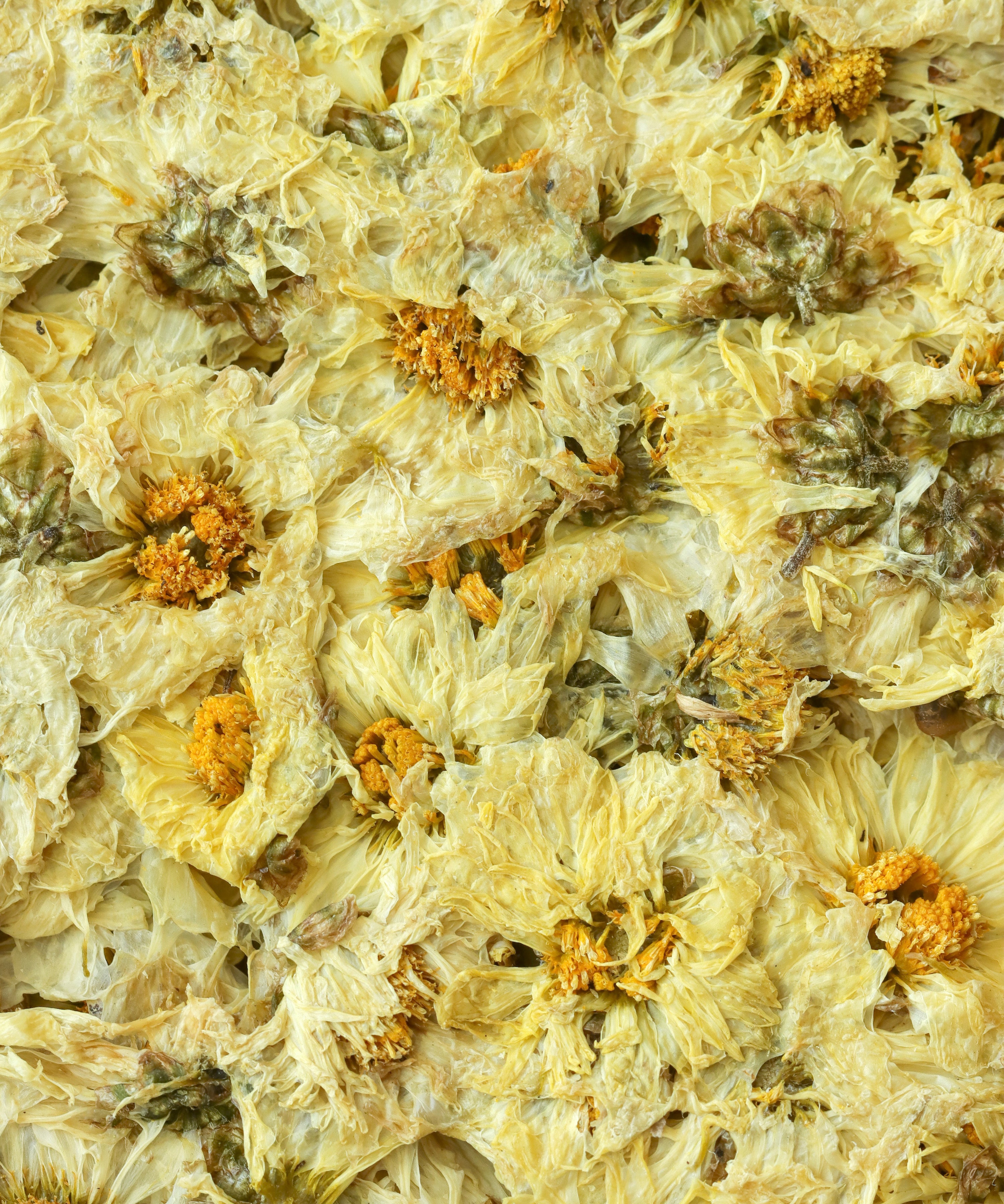 Silk Chrysanthemum Cake