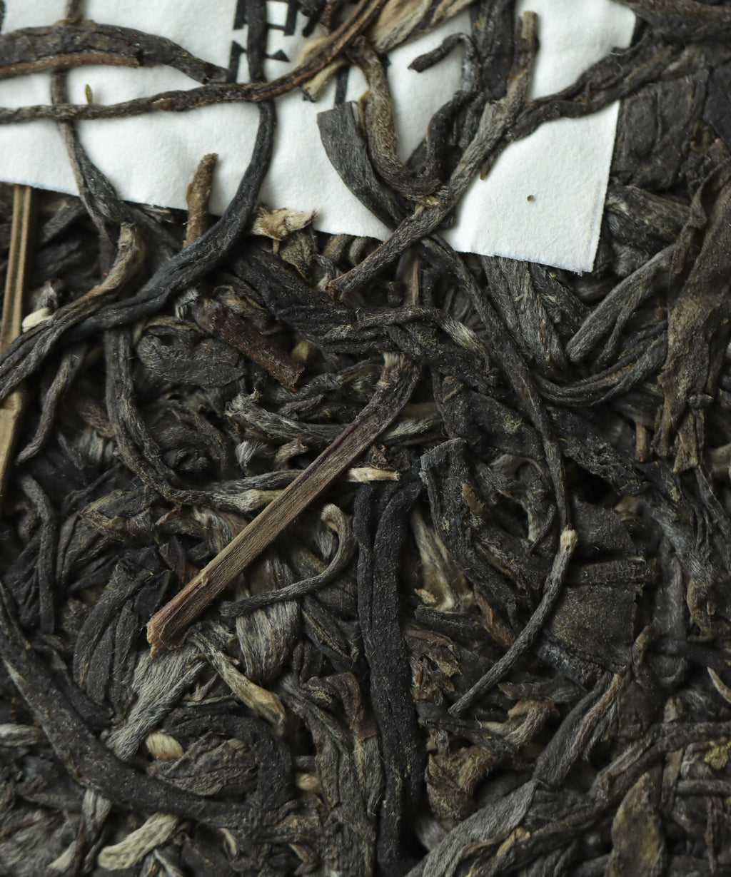 Xigui sheng pu'erh by Zhang Tianwen — autumn harvest raw pu'erh from Xigui Village, Lincang, Yunnan