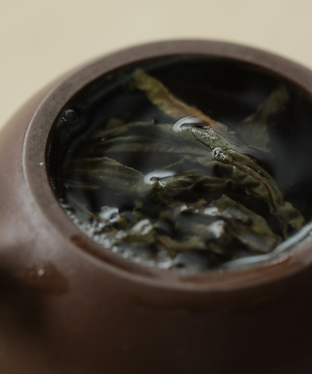 Xigui Sheng wet leaves — dark with slight sheen, Zhang Tianwen, Xigui Village, Lincang, Yunnan