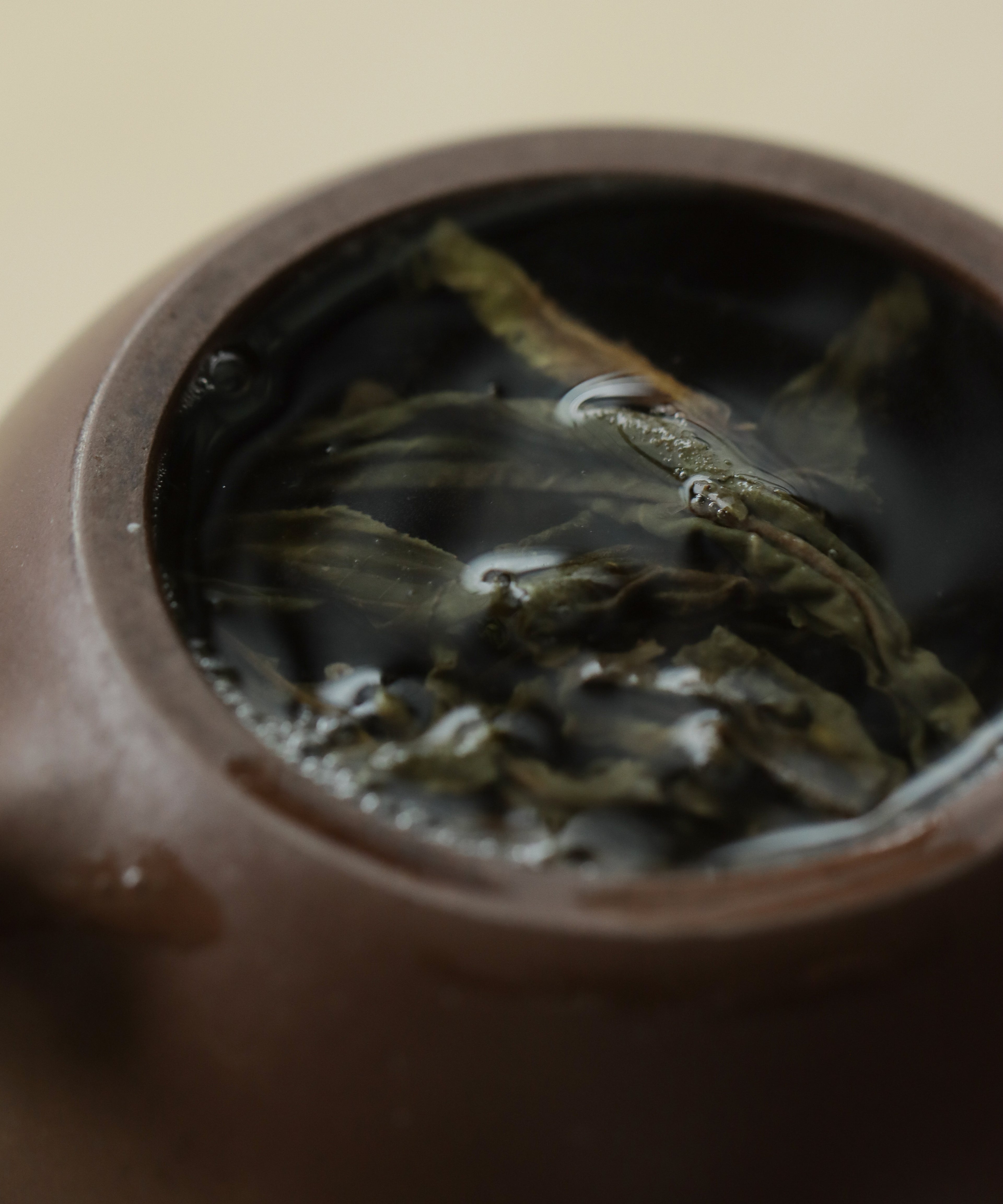 Xigui Sheng wet leaves — dark with slight sheen, Zhang Tianwen, Xigui Village, Lincang, Yunnan