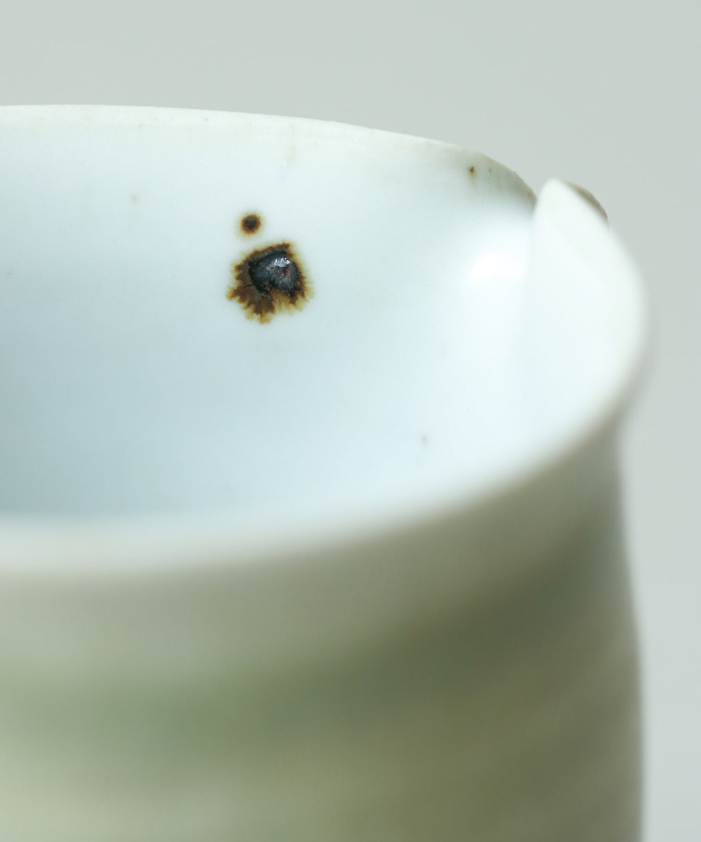 Green Celadon Pitcher Type IV glaze detail, matte green celadon with scattered freckles, Jingdezhen clay and porcelain