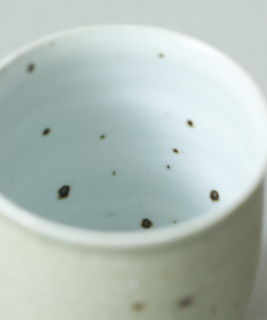 Green Celadon Pitcher Type III
