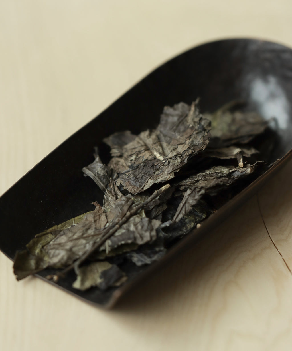 Wild White Reserve liquor — earth, burnt sugar, and cooked fruit from aging, Zhenghe, Fujian