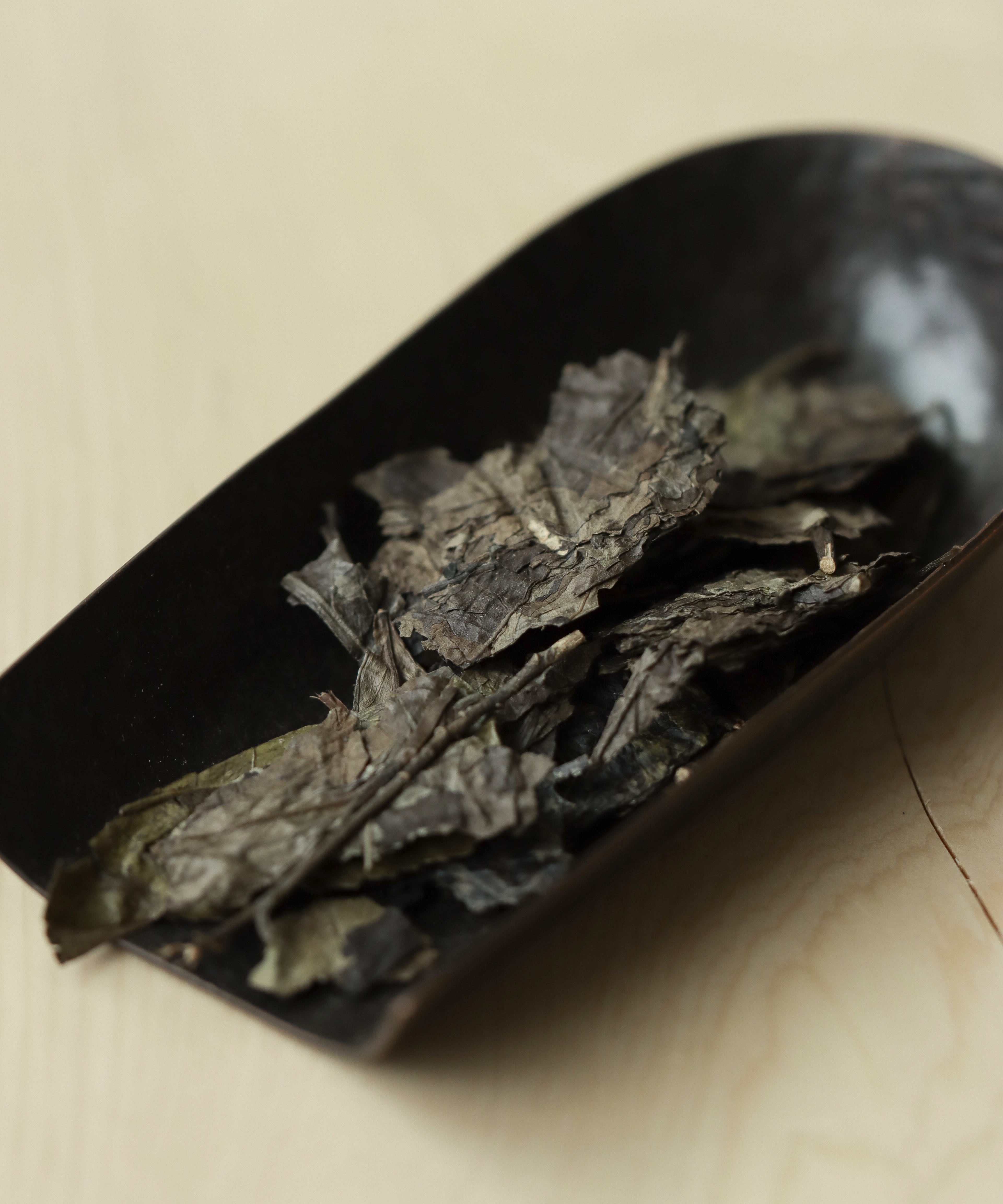 Wild White Reserve liquor — earth, burnt sugar, and cooked fruit from aging, Zhenghe, Fujian