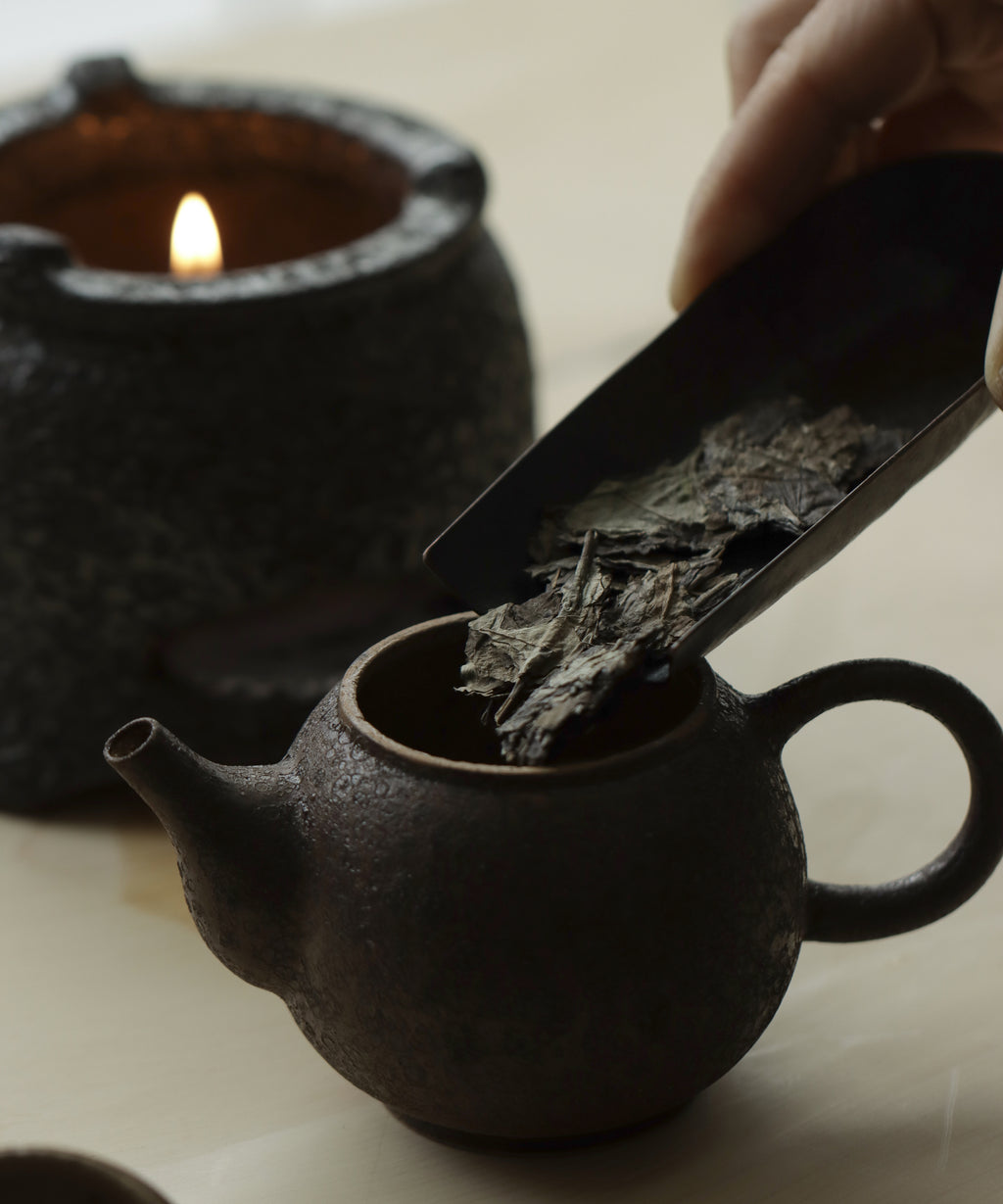 Wild White Reserve wet leaves after brewing — aged wild white tea, Zhenghe, Fujian