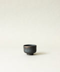 Zisha Cup Two