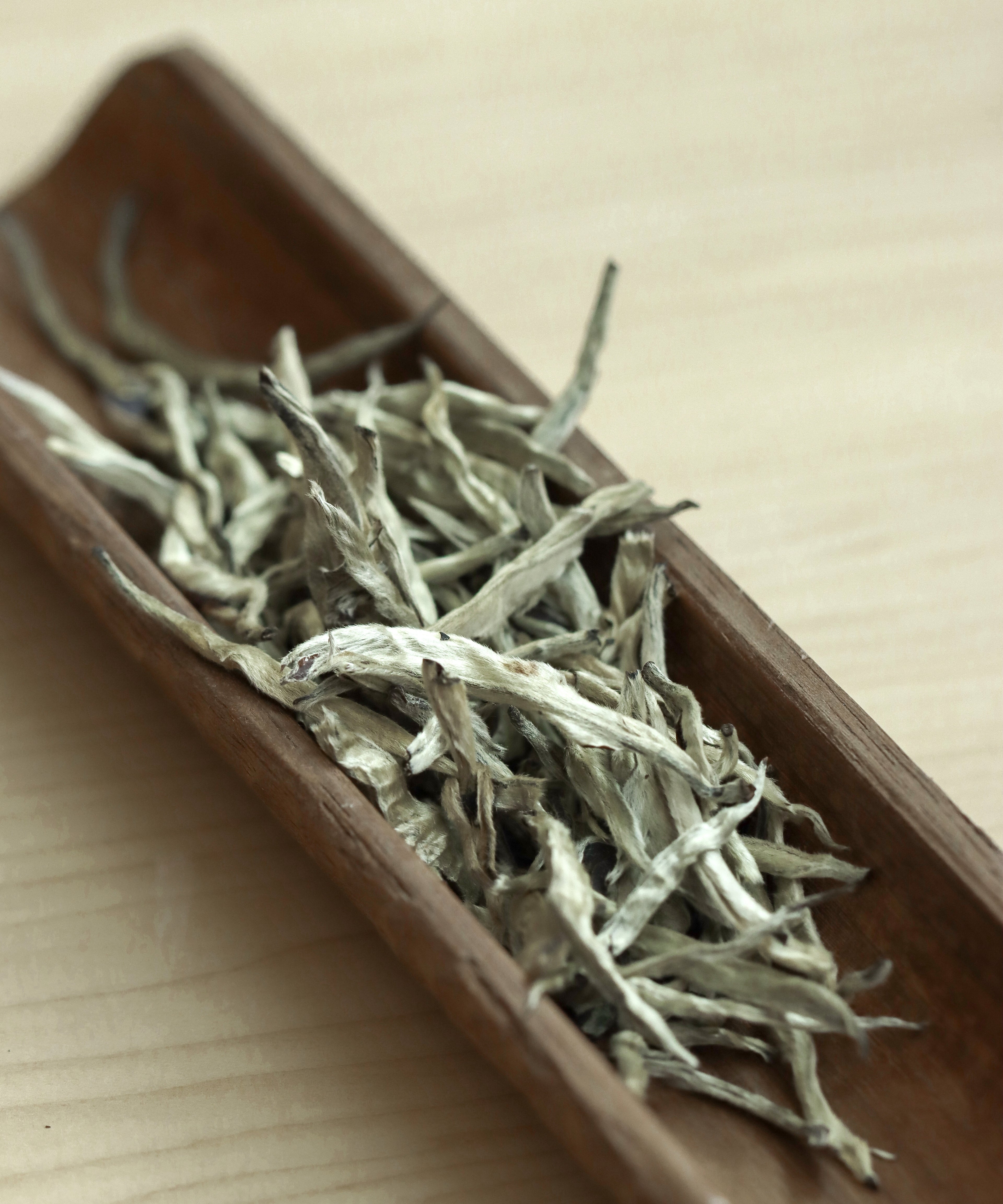 Silver Needle pressed cake showing the compressed white tea form