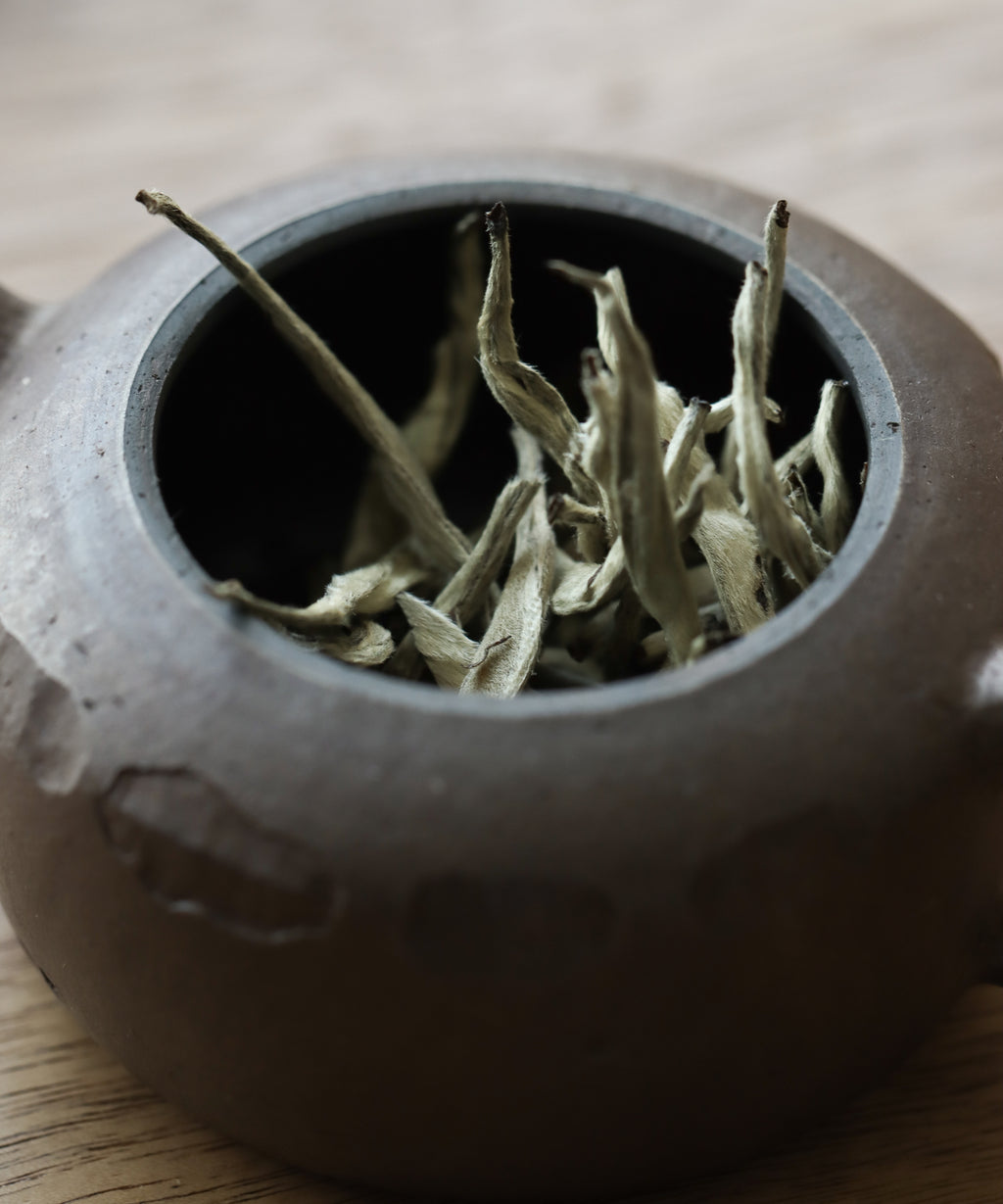 Silver Needle pressed white tea cake - applying Fujian craft to Jinggu Big White