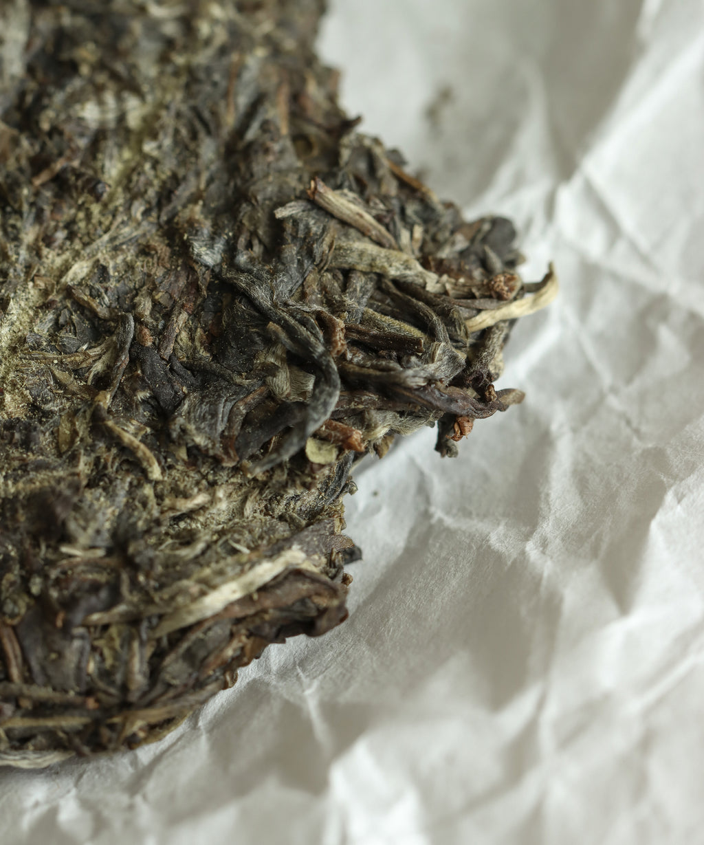 Taste of the Mountain liquor — penetrating sheng pu'erh from wild arbor trees, Jinggu, Yunnan