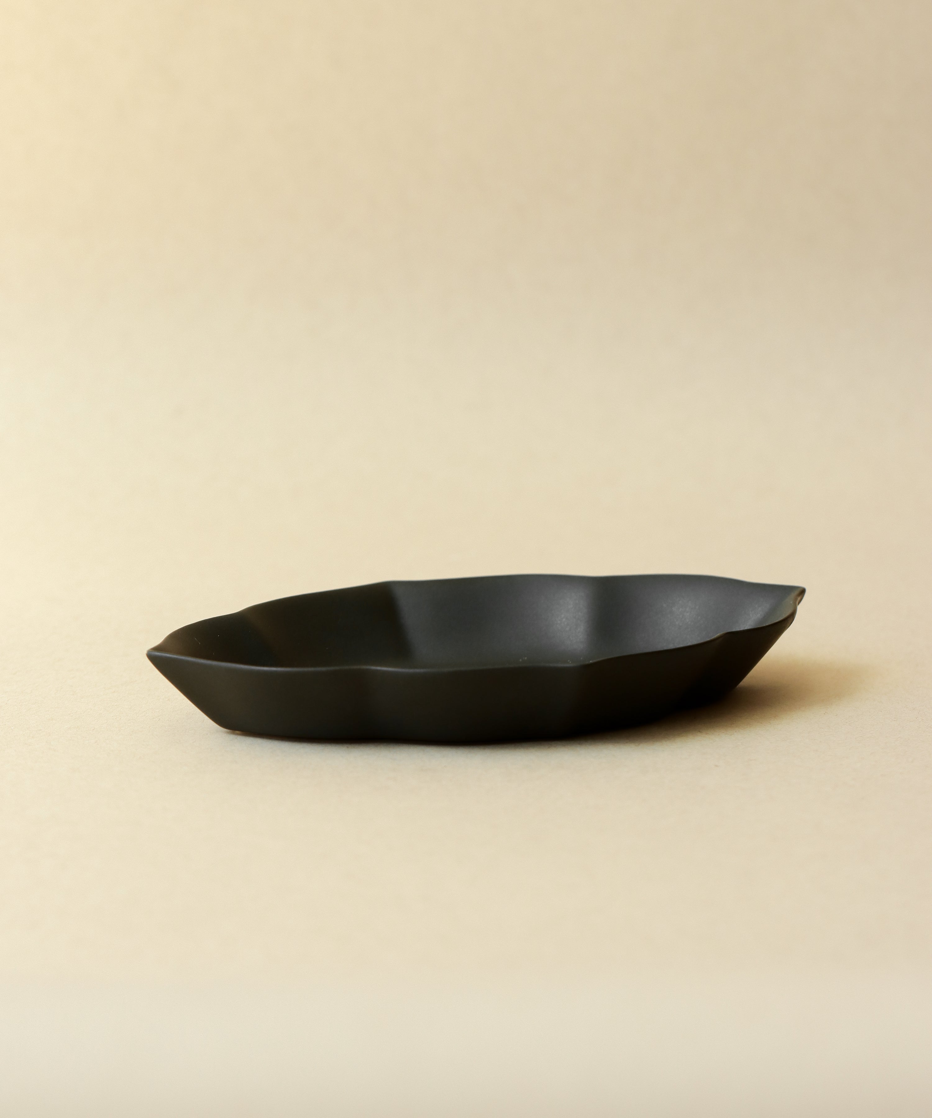 Water Chestnut Plate Matte Black