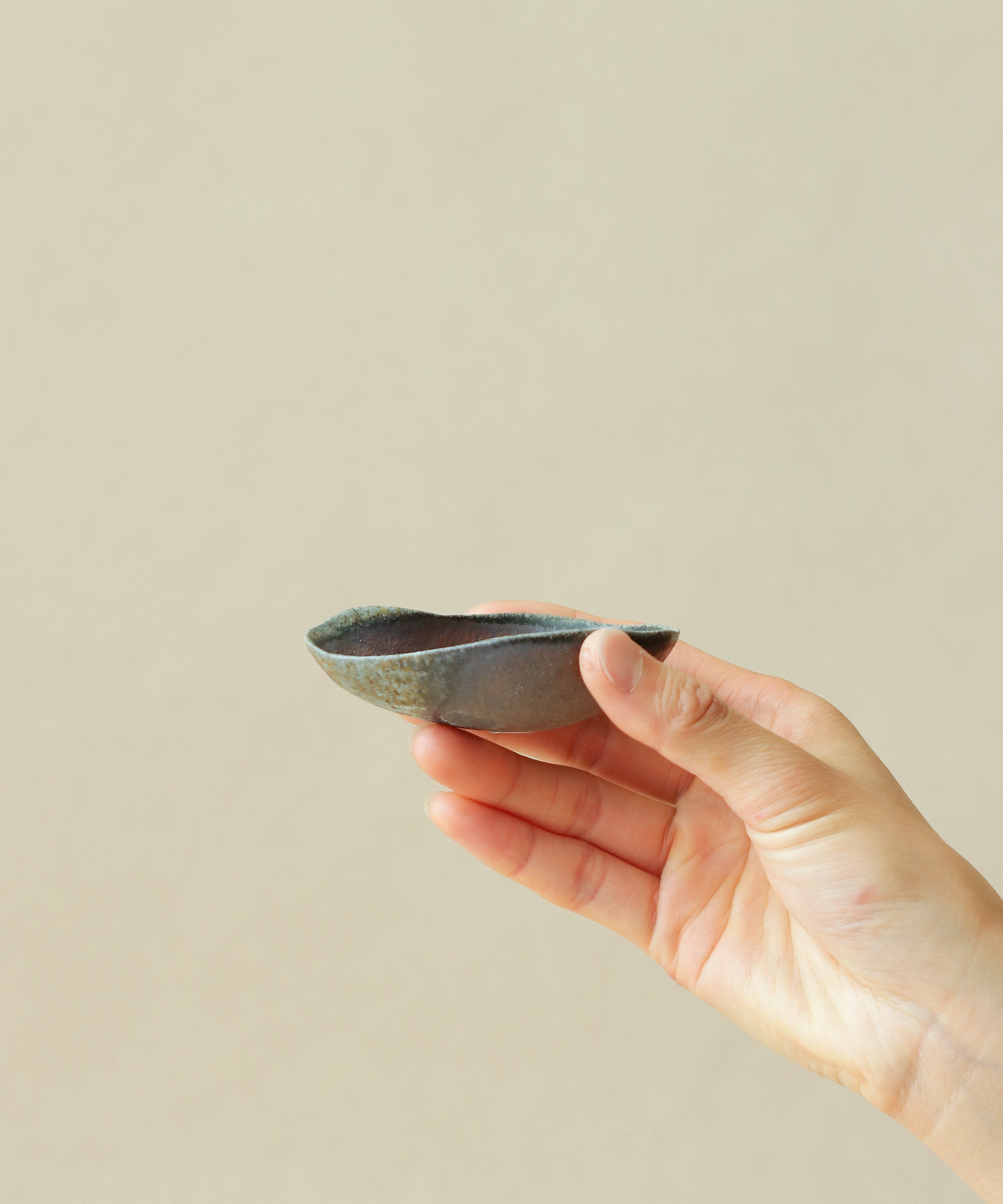 Mini Tea Scoop IV