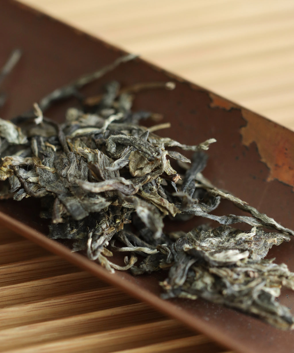 Mountains and Beyond liquor — sheng pu'erh with long sweet aftertaste, Jinggu, Yunnan