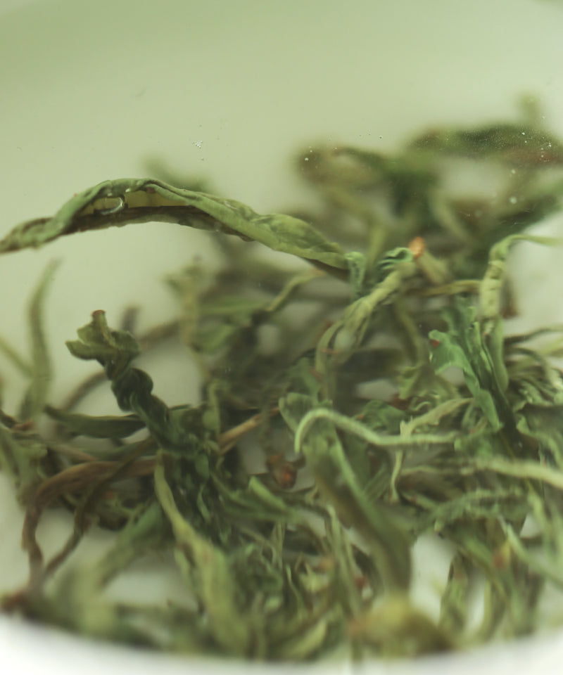 Wild Harvest Green 2021