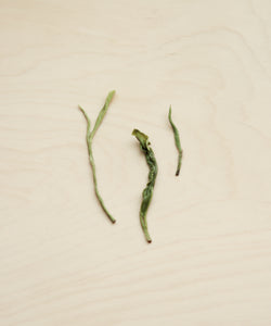 Wild Harvest Green 2021