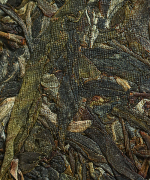 Ancient Spring sheng pu'erh by Mr. Tang — everyday raw pu'erh from Jinggu, Yunnan