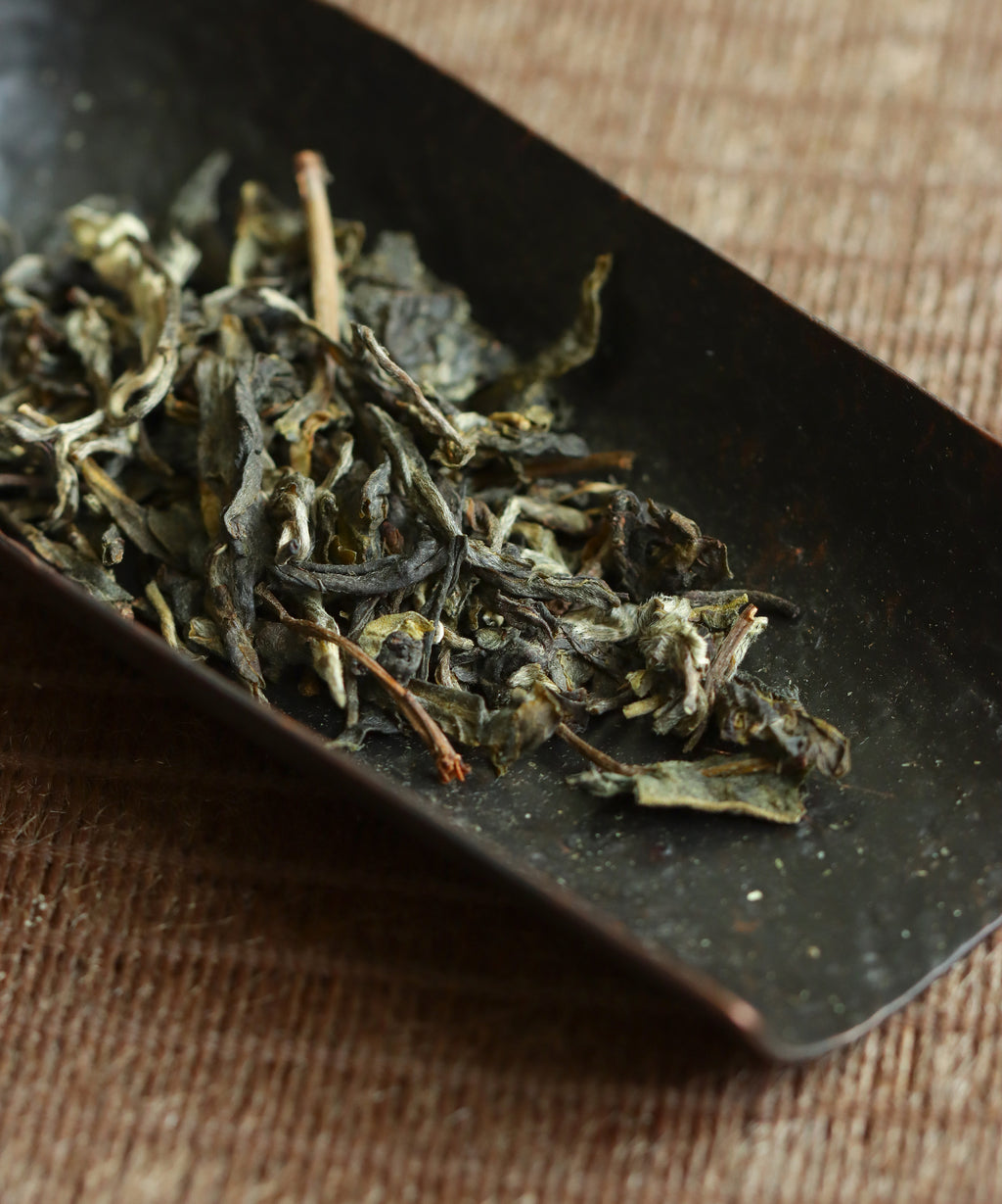 Ancient Spring dry cake — Mengku and Jinggu Dabai blend sheng pu'erh, Jinggu, Yunnan
