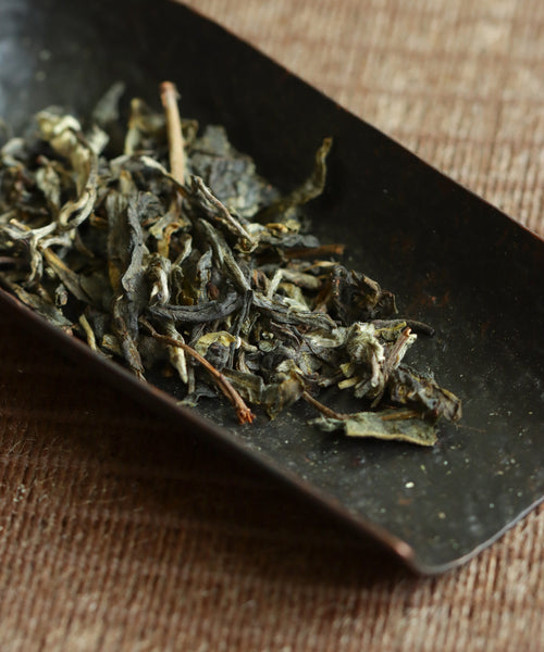 Ancient Spring dry cake — Mengku and Jinggu Dabai blend sheng pu'erh, Jinggu, Yunnan