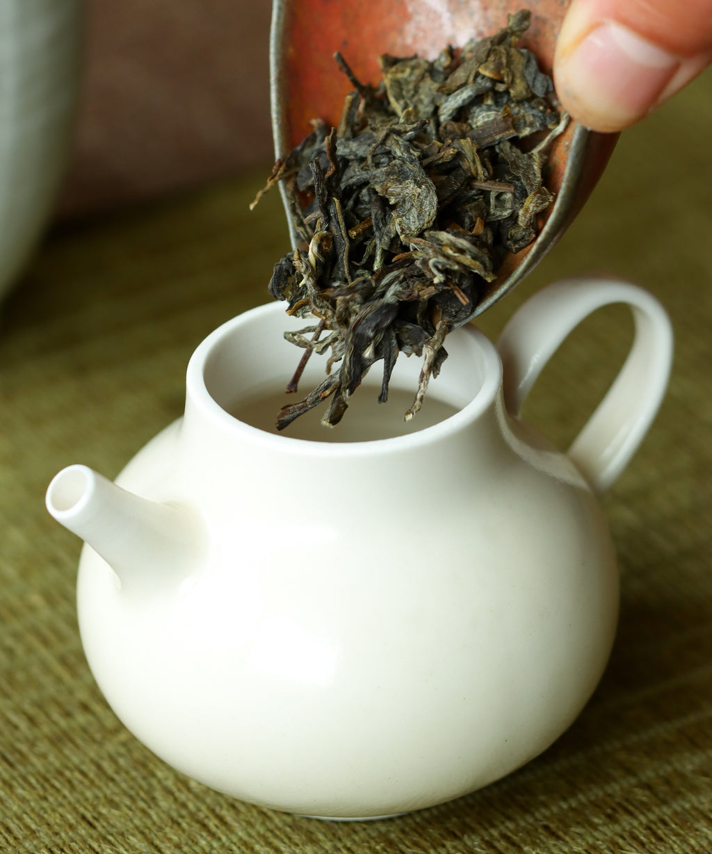 Brewing Ancient Spring — Mr. Tang's approachable everyday sheng pu'erh, Jinggu, Yunnan