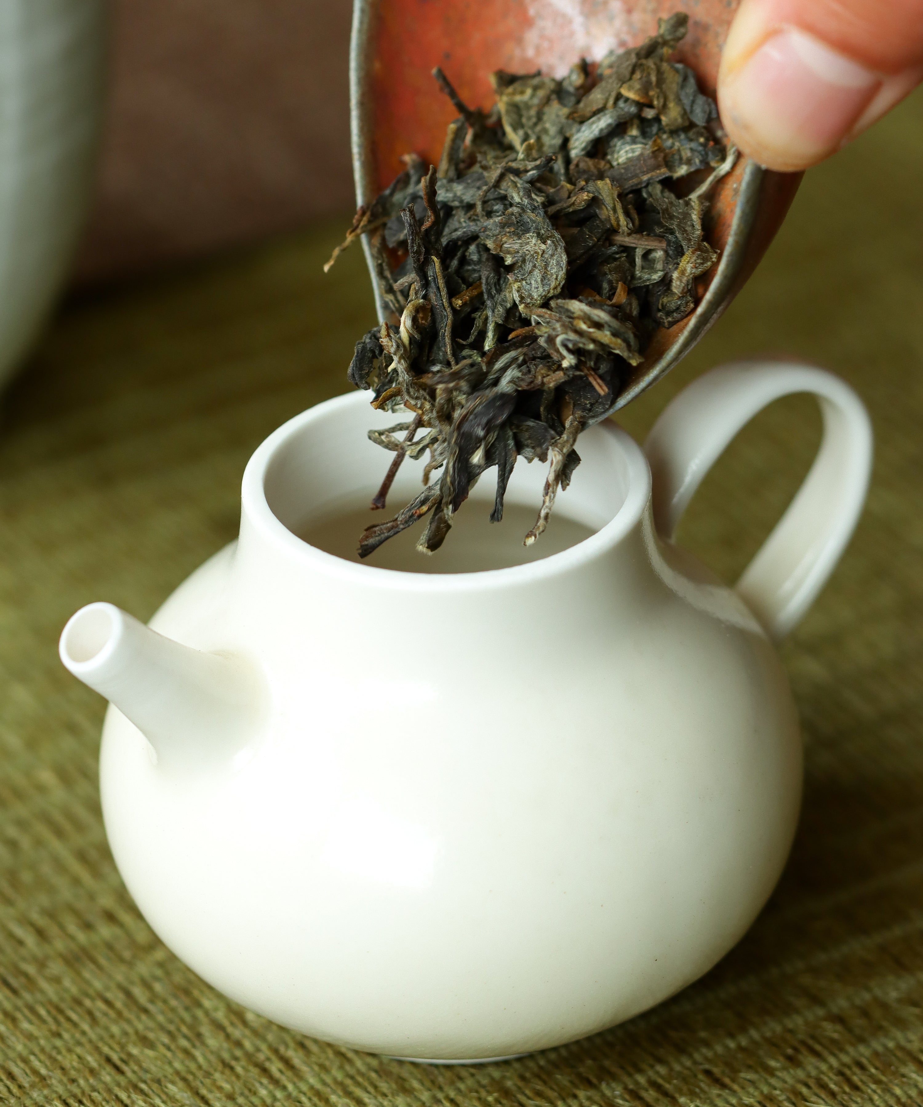 Brewing Ancient Spring — Mr. Tang's approachable everyday sheng pu'erh, Jinggu, Yunnan