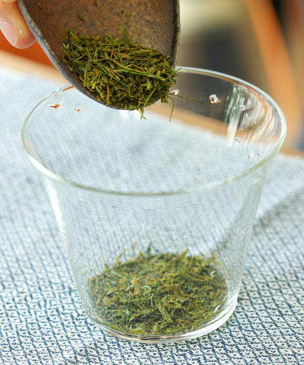 Sencha Yame Hakuyo "White Star"