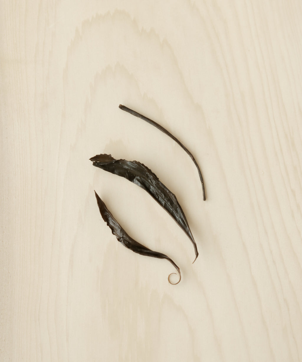 Rocky Black by Mr. Fan — wild black tea from mutant old-grove trees, Zhenghe, Fujian