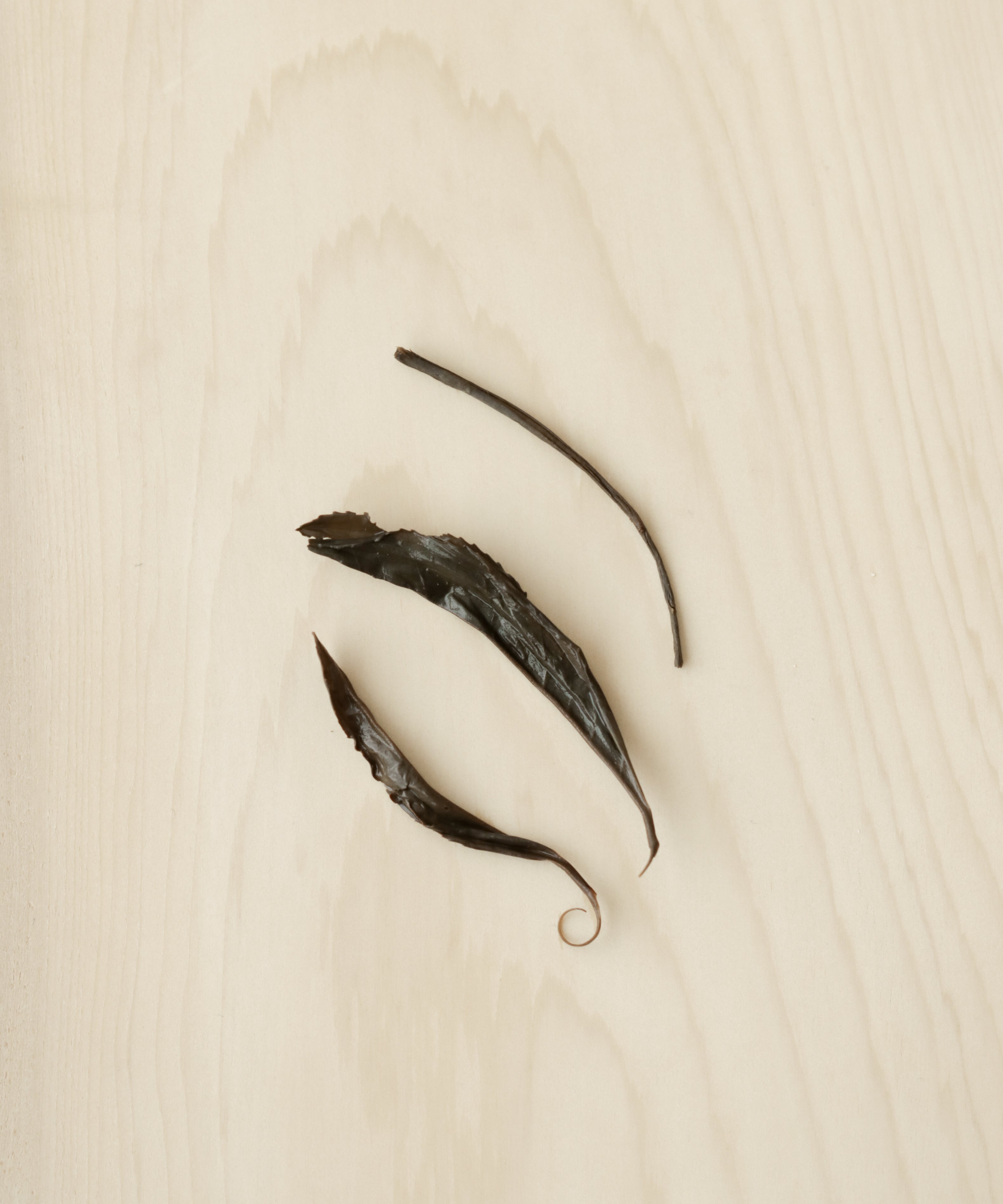 Rocky Black by Mr. Fan — wild black tea from mutant old-grove trees, Zhenghe, Fujian