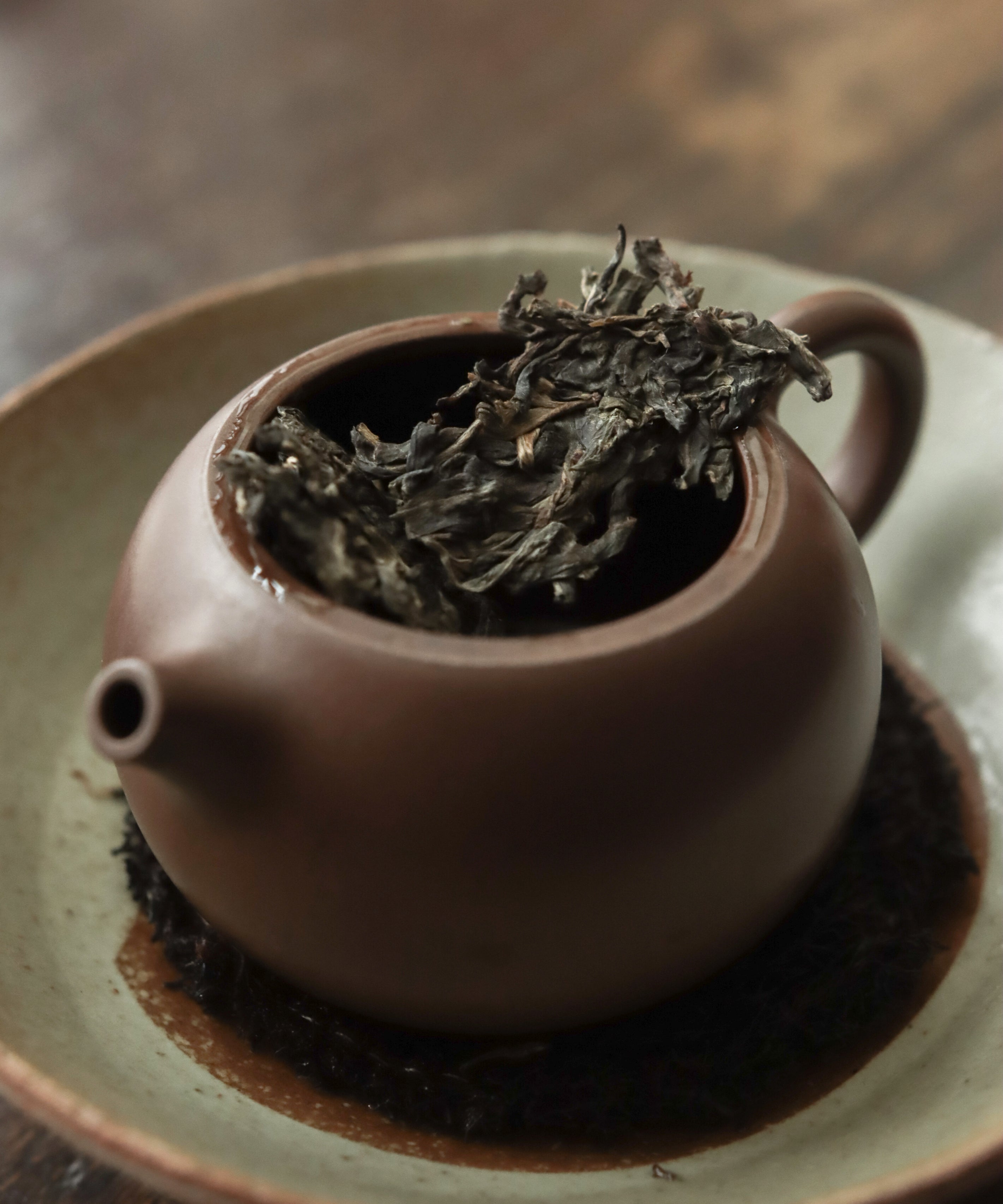 Wuliangshan liquor — aged sheng pu'erh with poached apple, pear, and prune notes, Pu'er, Yunnan