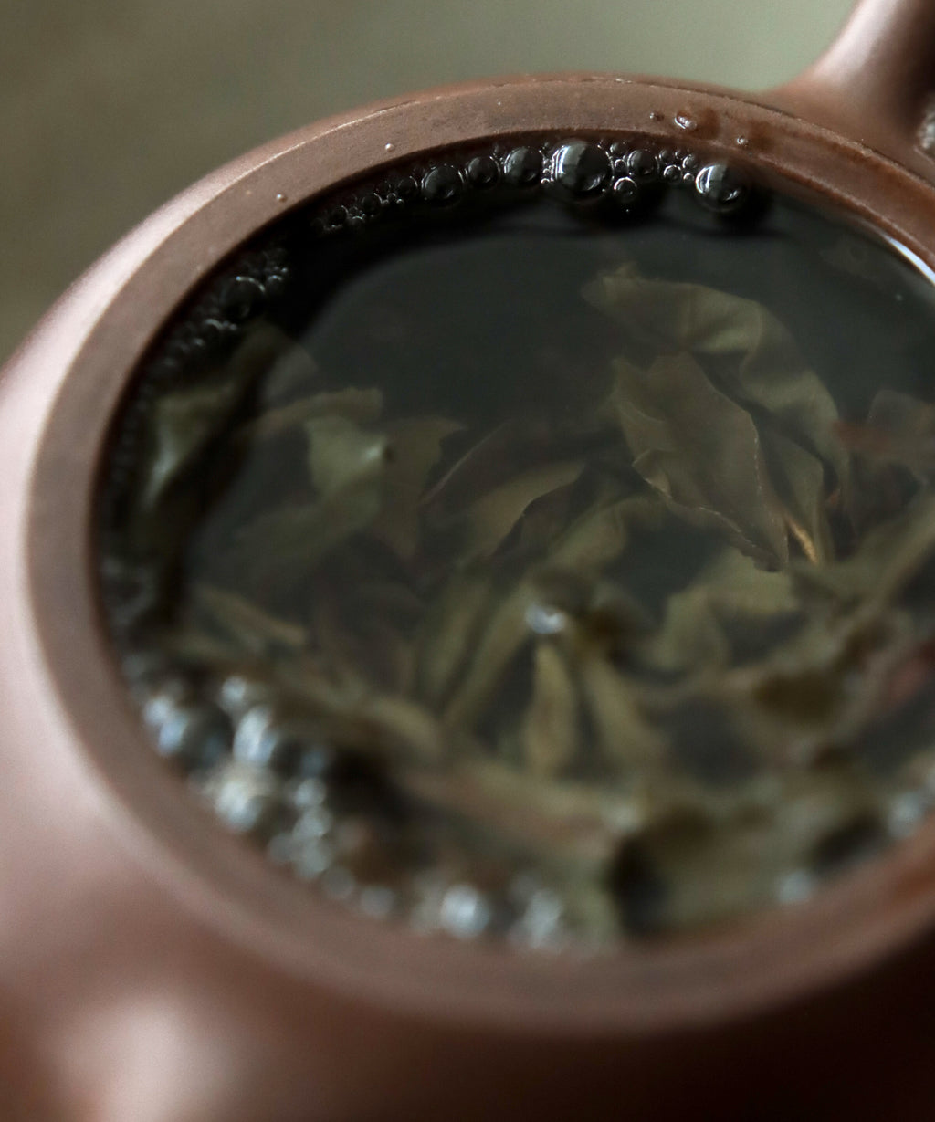 Wuliangshan wet leaves after brewing — aged ancient tree sheng pu'erh, Pu'er, Yunnan