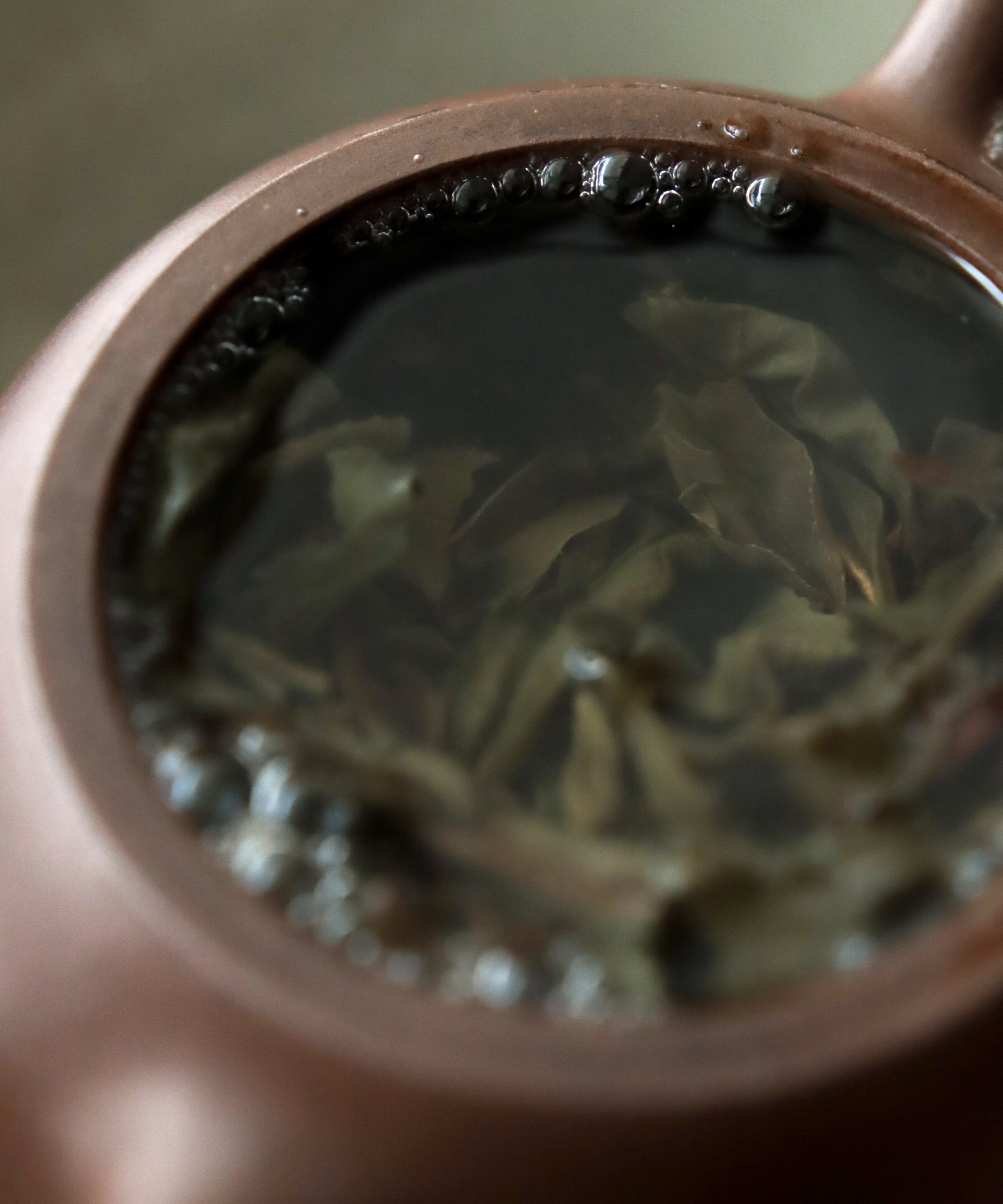 Wuliangshan wet leaves after brewing — aged ancient tree sheng pu'erh, Pu'er, Yunnan