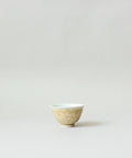 Saturn No. 1
