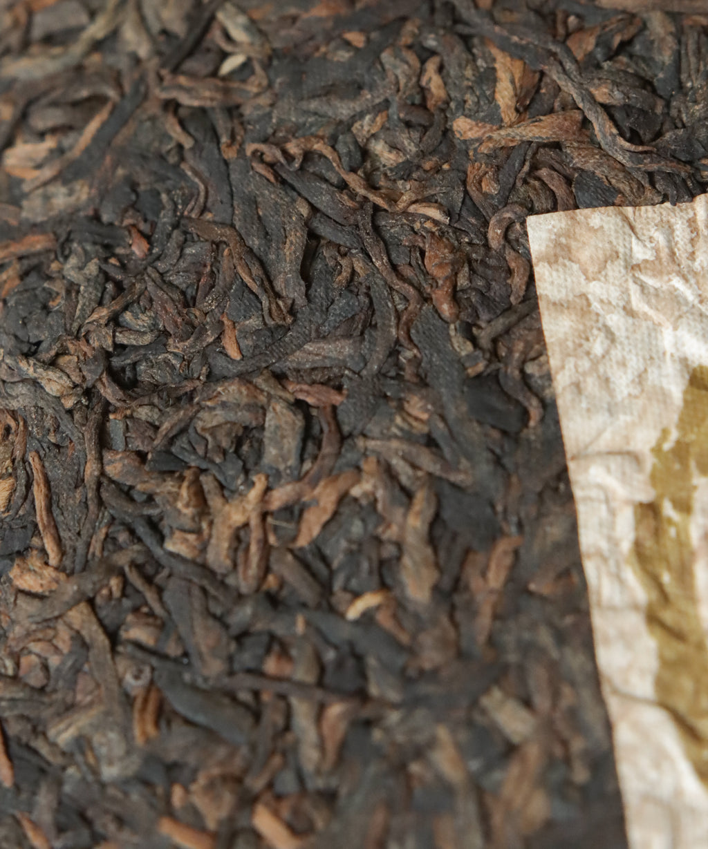 Essence of Lincang shou pu'erh from 200-year-old trees — blended spring and autumn harvest, Fengqing, Yunnan