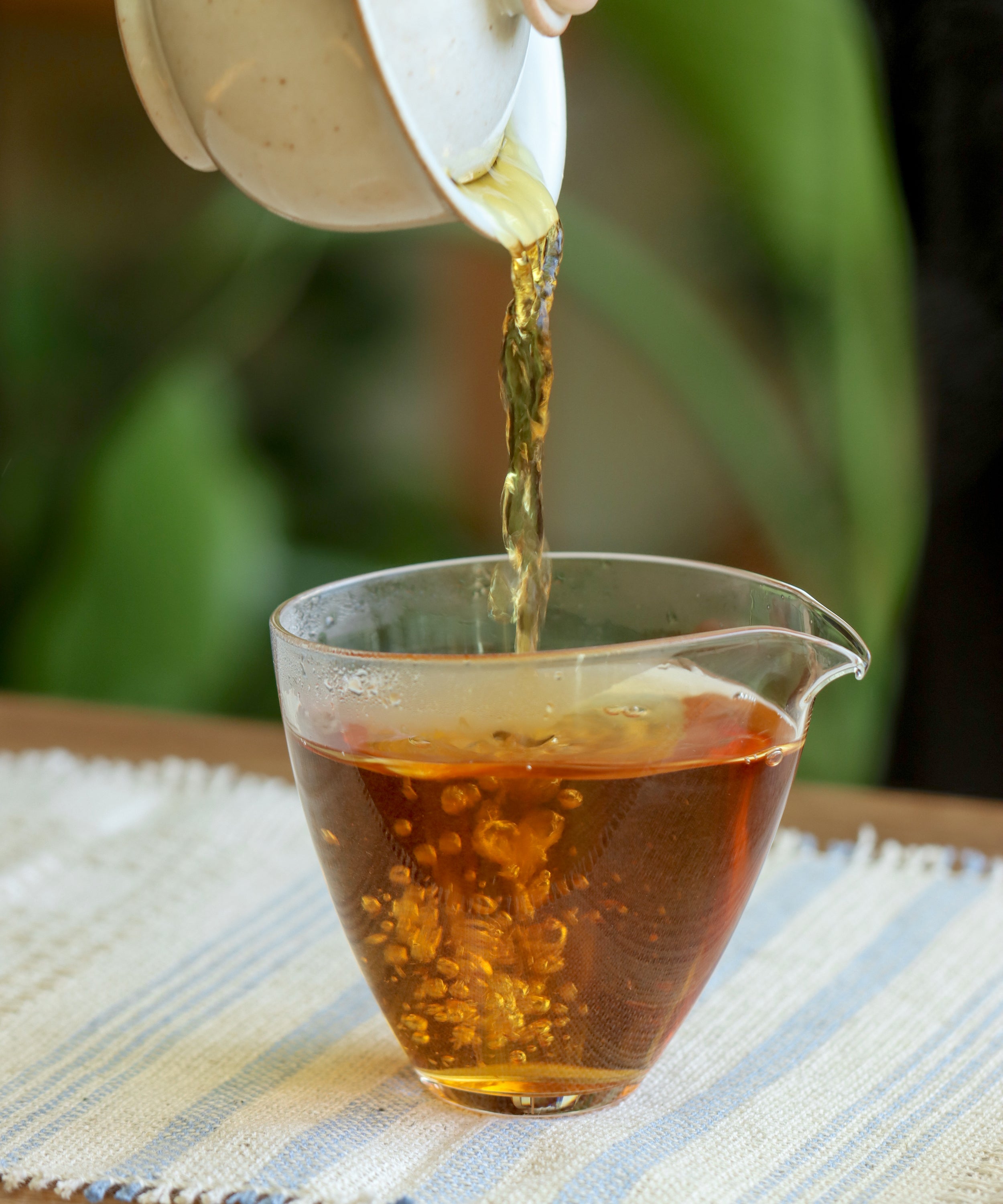 Sun-Dried Red wet leaves after brewing — dense red clay leaves, sun-dried black tea, Jinggu, Yunnan