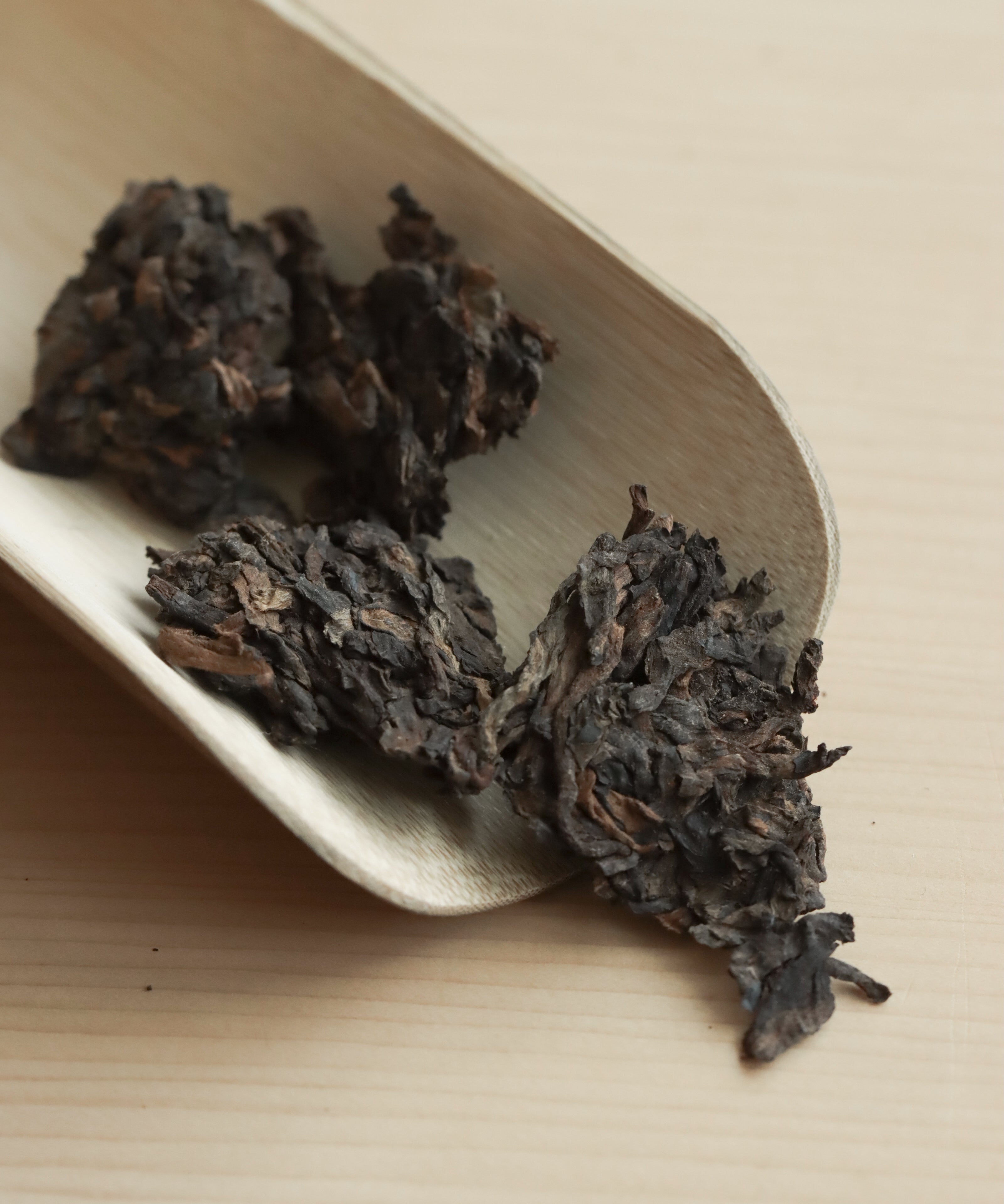 Brewing Essence of Lincang — shou pu'erh fermented on wooden pallets, Fengqing, Yunnan