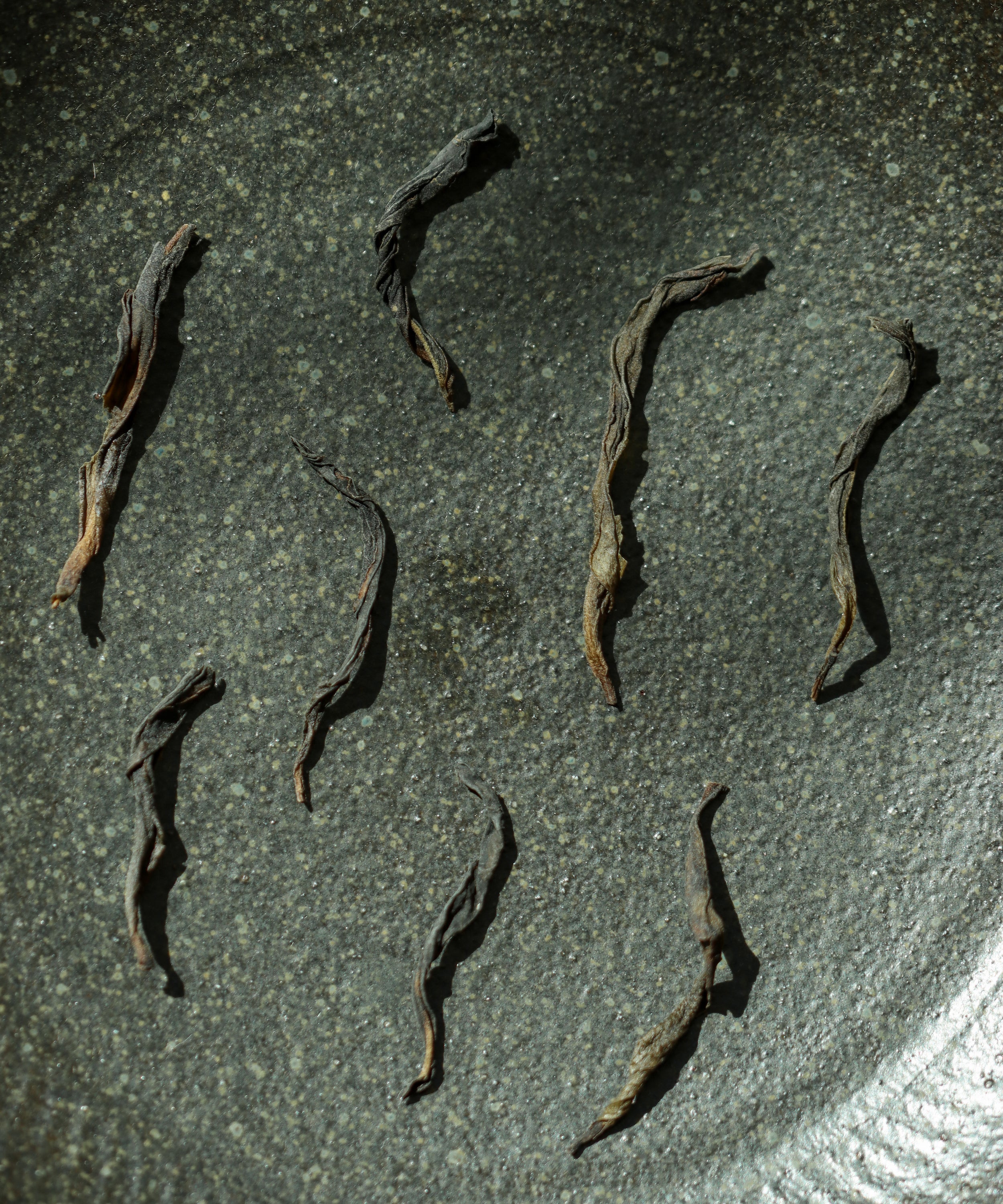 Molixiang dry leaves — 40-50 year old grove Phoenix dancong from Fengxi Mountain, Wudong, Guangdong