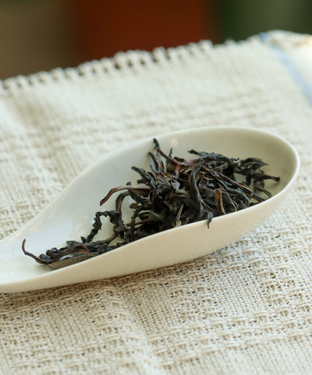 Brewing Molixiang — old grove jasmine-scented Phoenix oolong aged one year, Fengxi Mountain