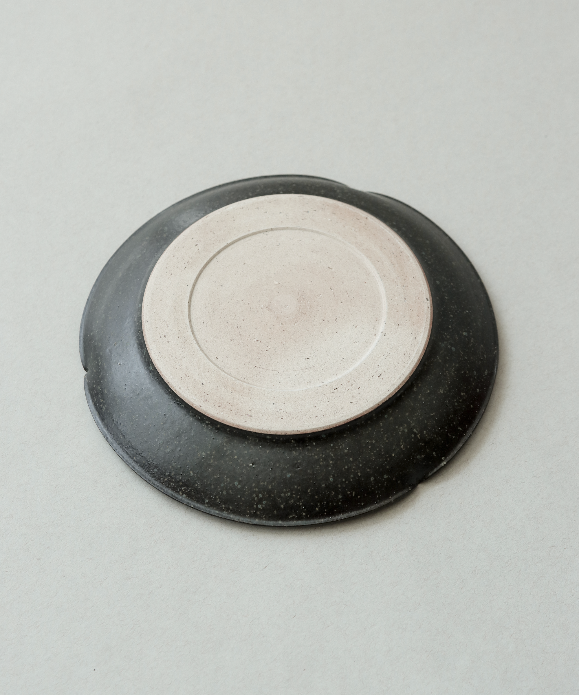 Plate No. 17 detail, handcrafted Jingdezhen ceramics by Wang Xinghua