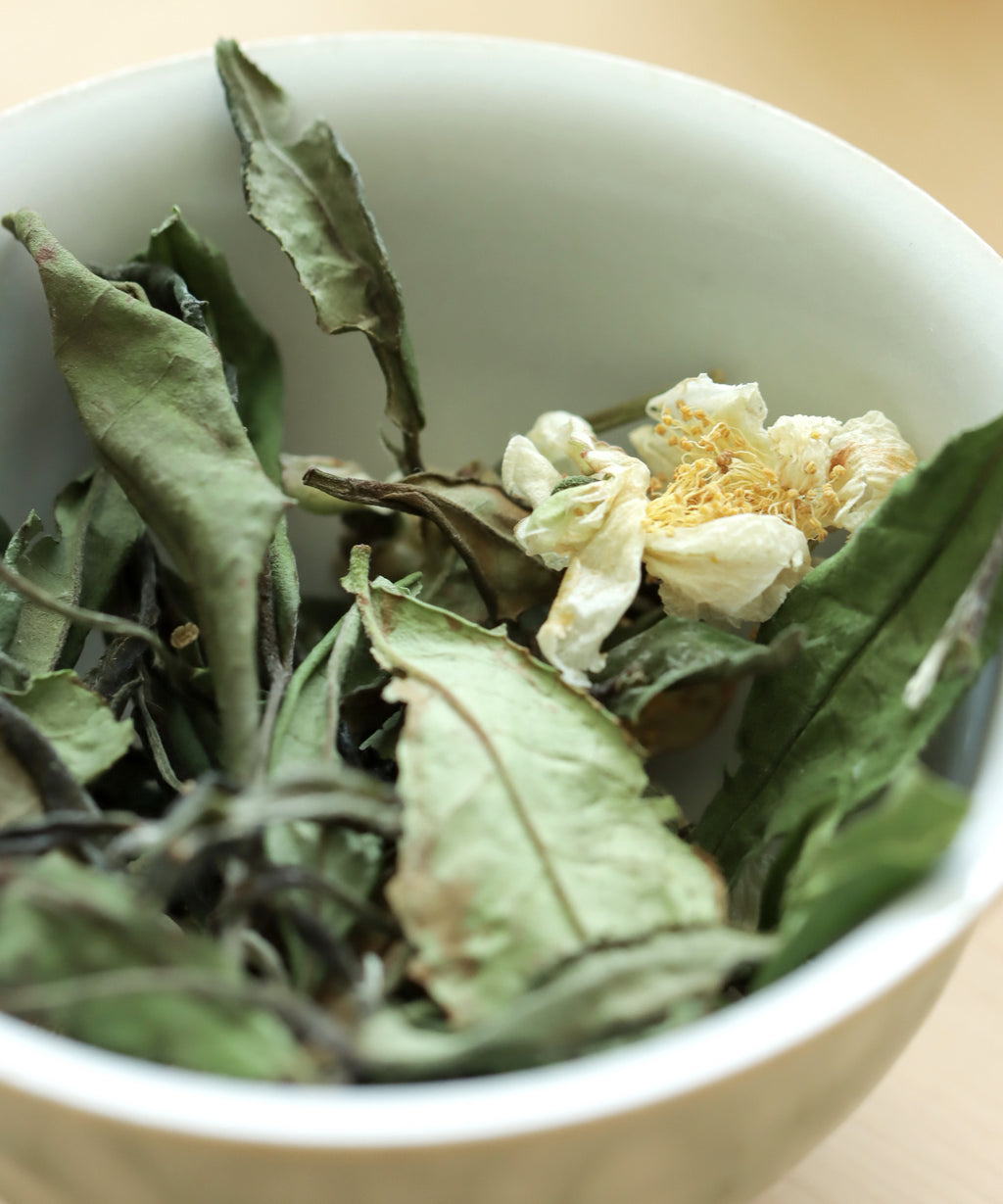 Brewing Laoshan White & Tea Blossoms — Mr. Tang's white tea from China's northernmost tea region