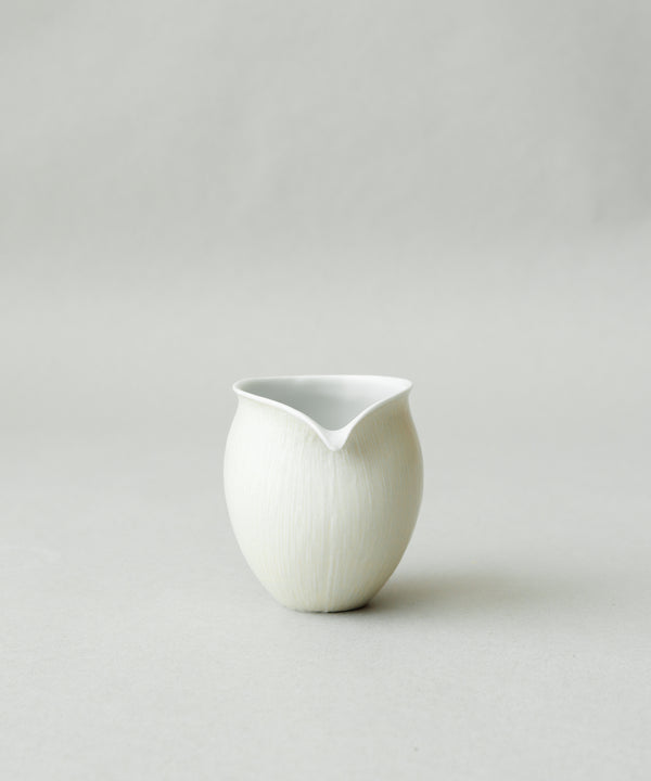 Pitcher