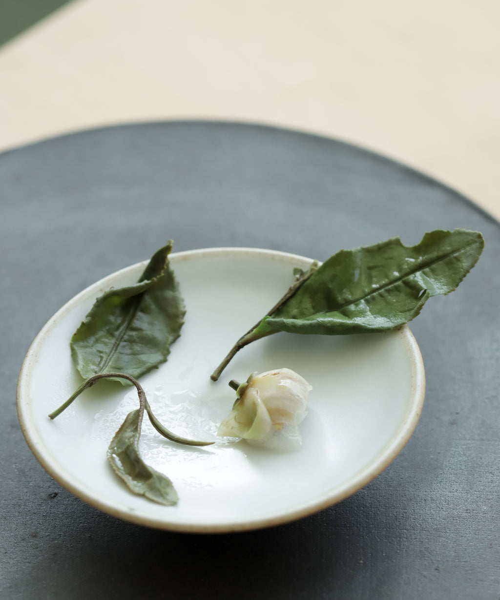 Laoshan White & Tea Blossoms