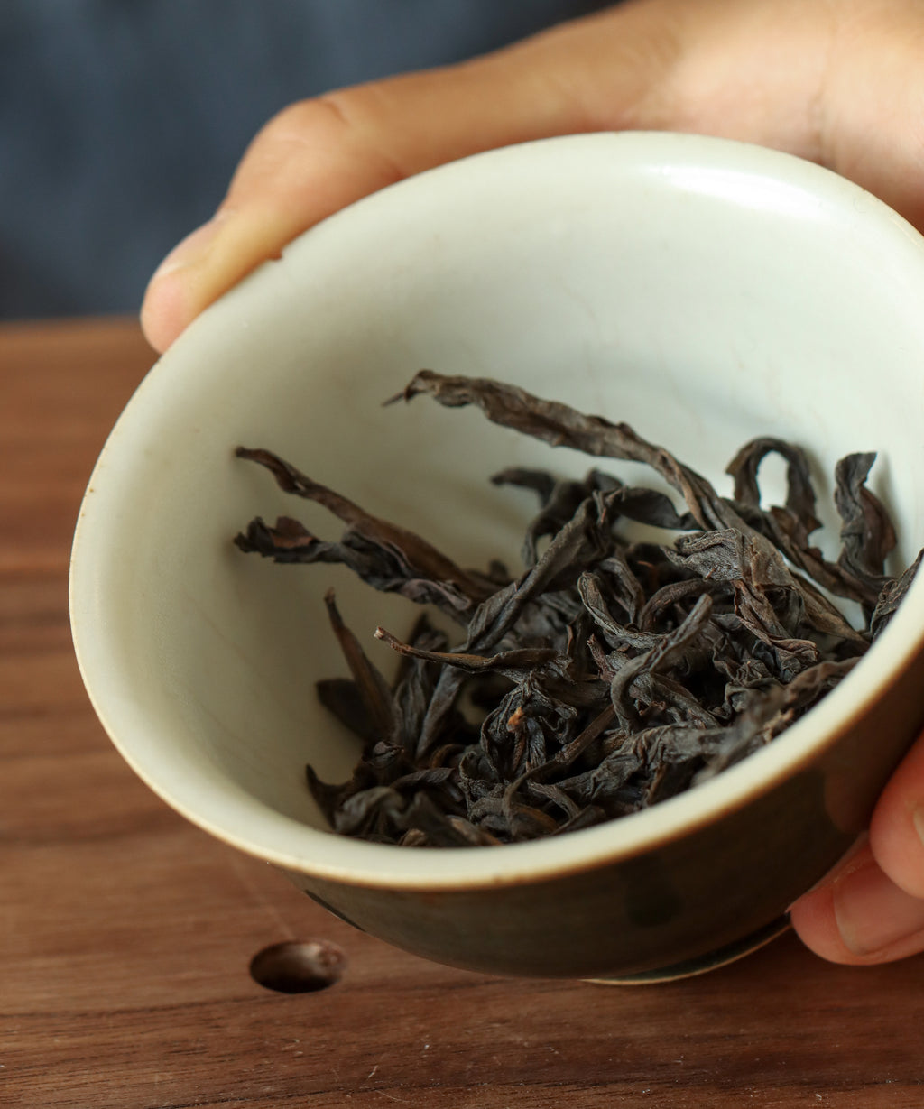 Brewing Jade Qilin in gaiwan — true cliff rock oolong from inside the Wuyi Nature Reserve