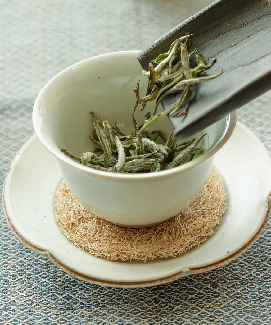 Brewing Wild Peony King — Mr. Fan's wild white peony from Zhenghe, Fujian