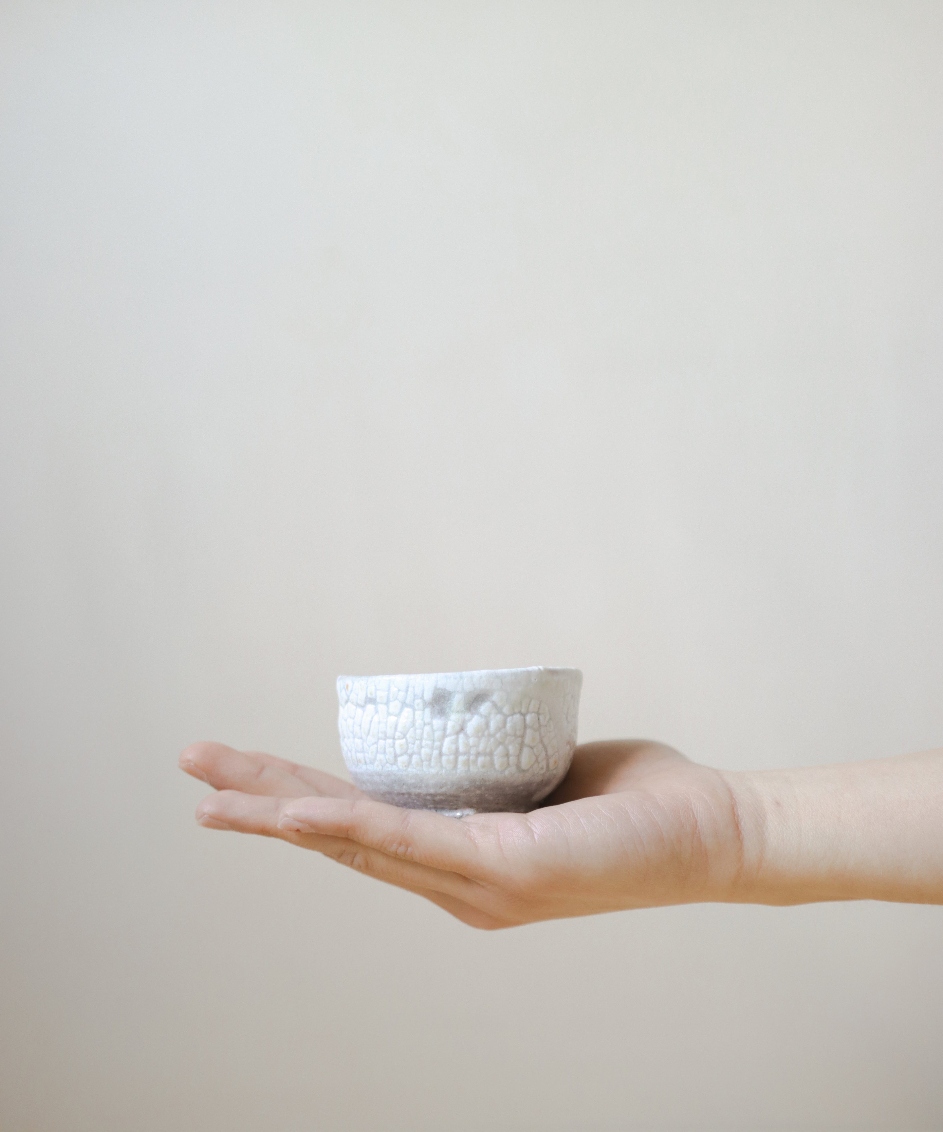 Winter Ice