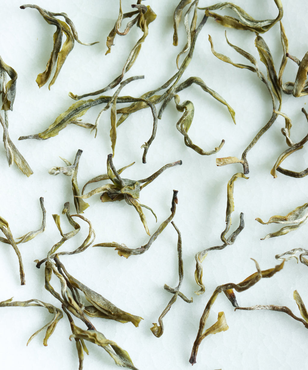 Yellow Purple Shoots dry leaves — pre-Qingming foraged yellow tea, Guzhu Mountain, Changxing