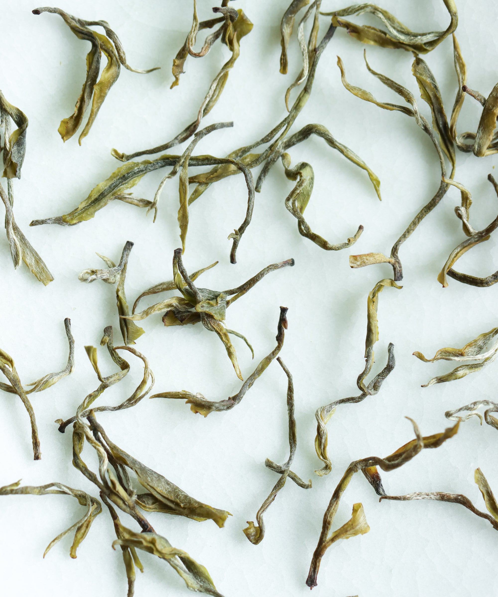 Yellow Purple Shoots dry leaves — pre-Qingming foraged yellow tea, Guzhu Mountain, Changxing