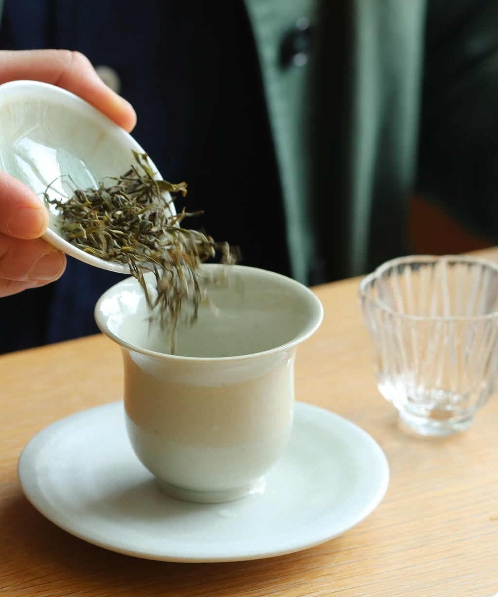 Brewing Yellow Purple Shoots — rare yellow tea from wild tea plants across Guzhu Mountain peaks
