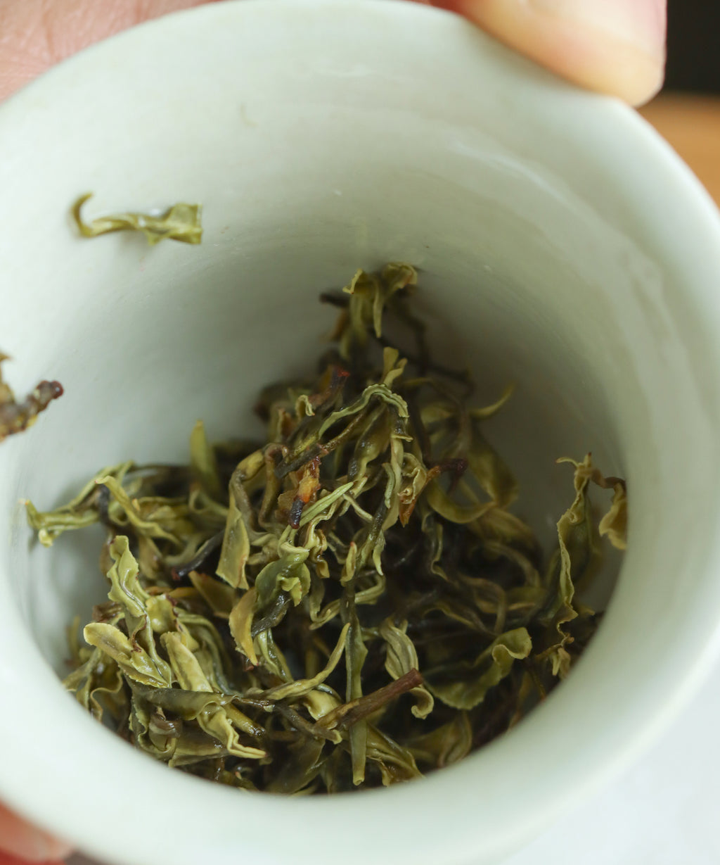 Yellow Purple Shoots wet leaves — experimental yellow tea from wild Purple Shoots, Changxing